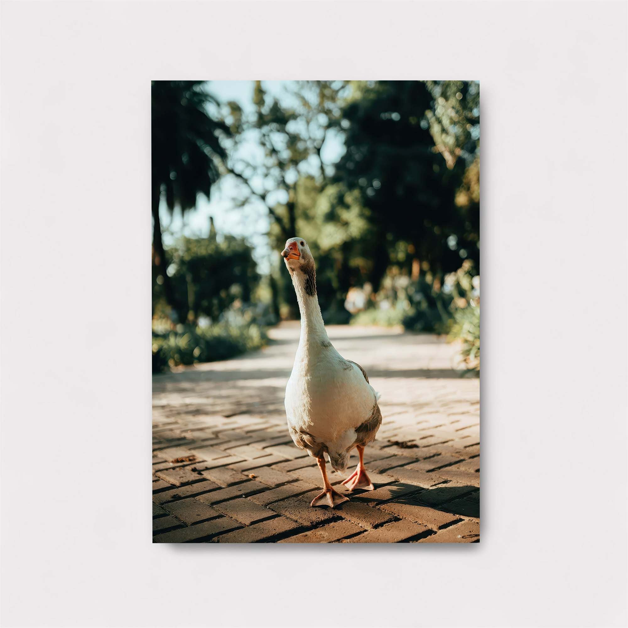 Goose Serenity Safe Wall Magnetic / M