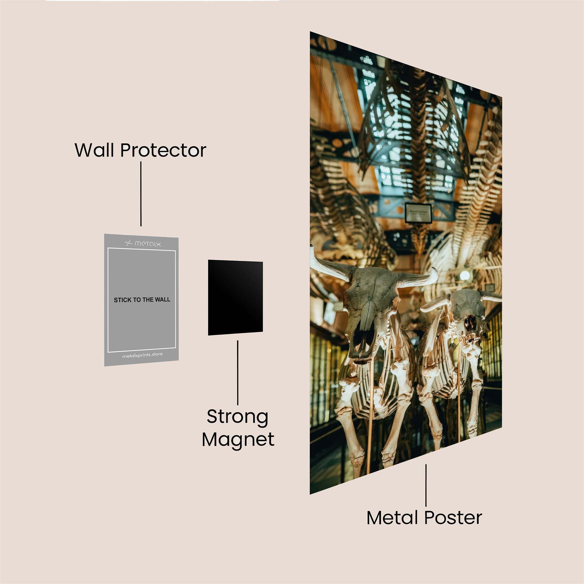 Mammoth Mystery Safe Wall Magnetic / M