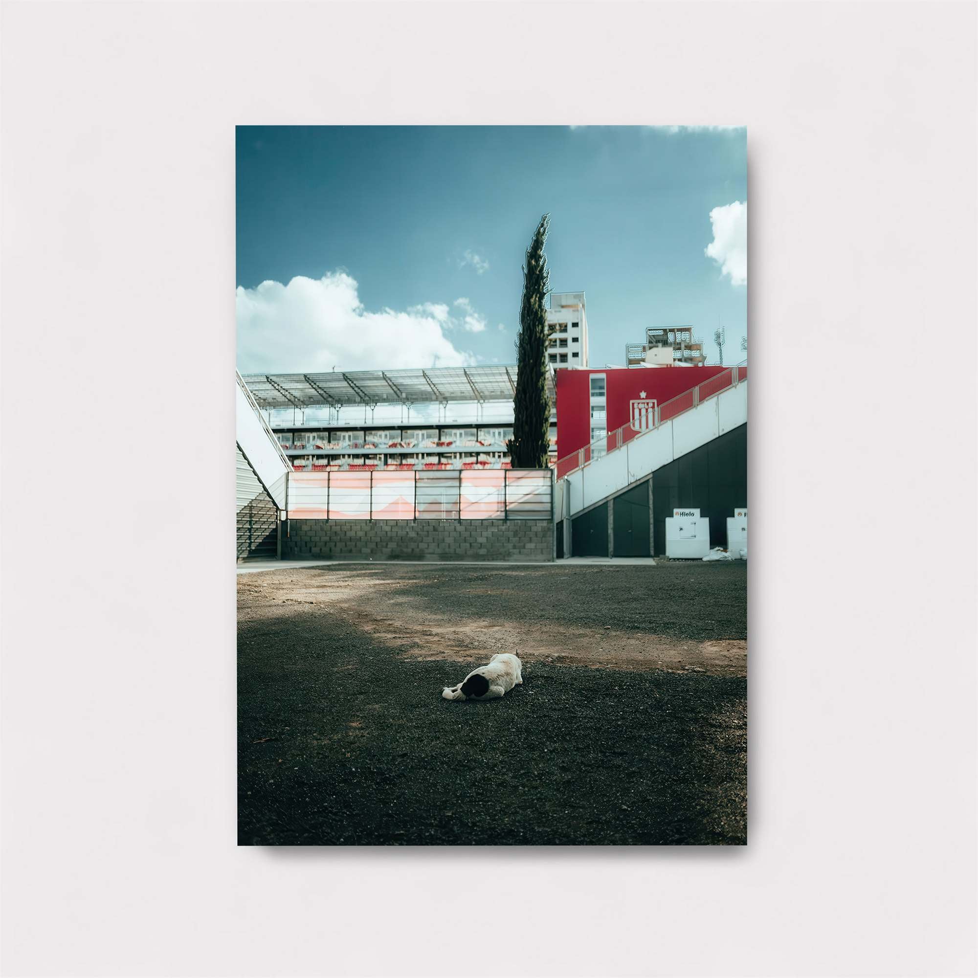 Doggy Serenity Safe Wall Magnetic / M