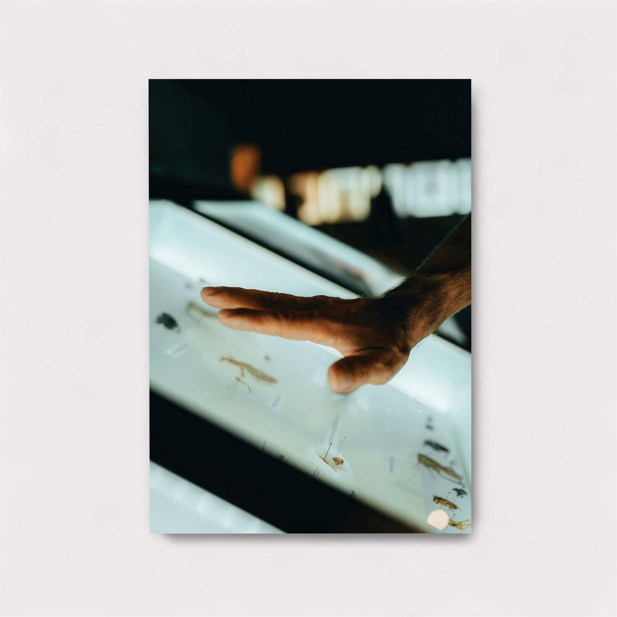 Hand Intrigue Safe Wall Magnetic / M