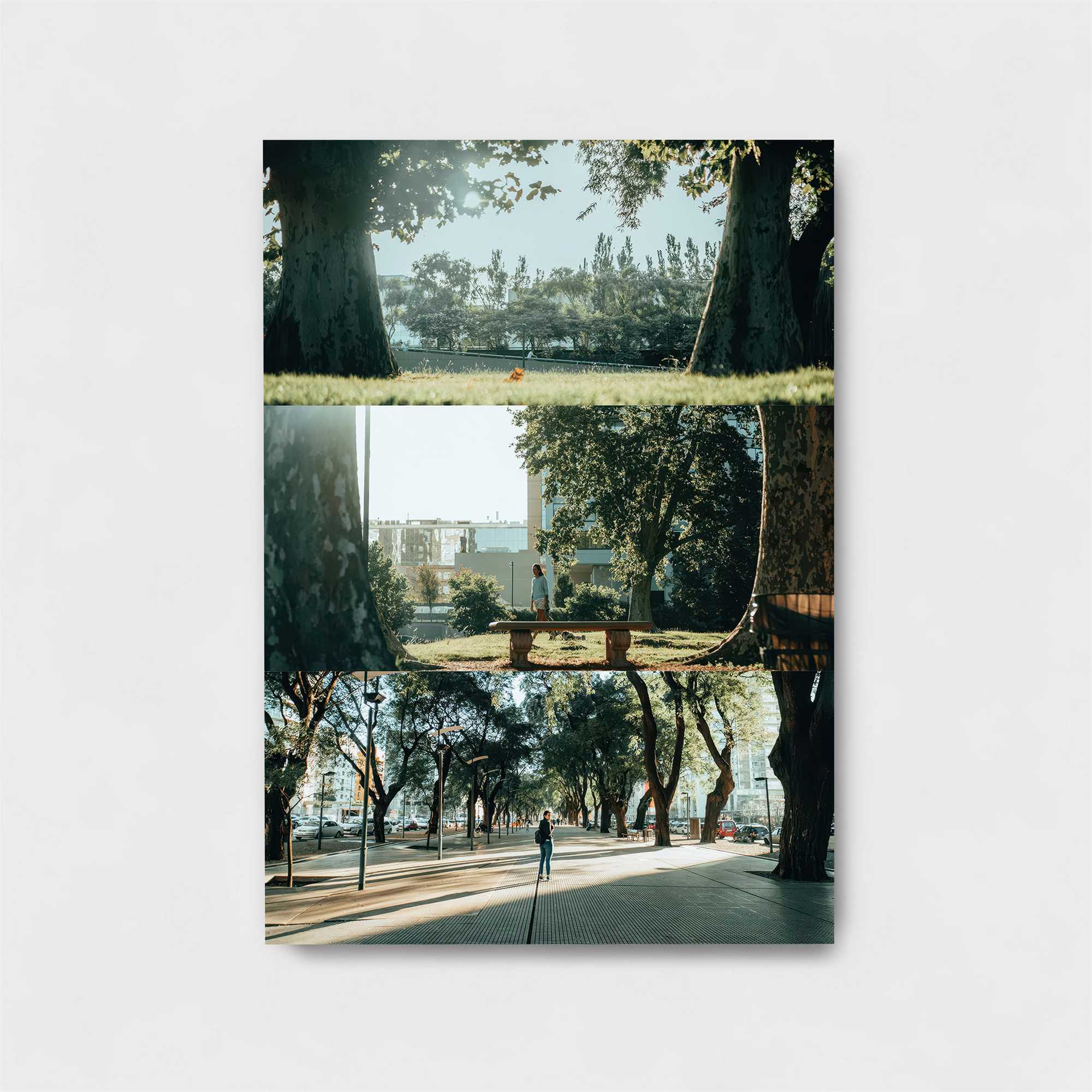 Nature's Embrace Safe Wall Magnetic / M