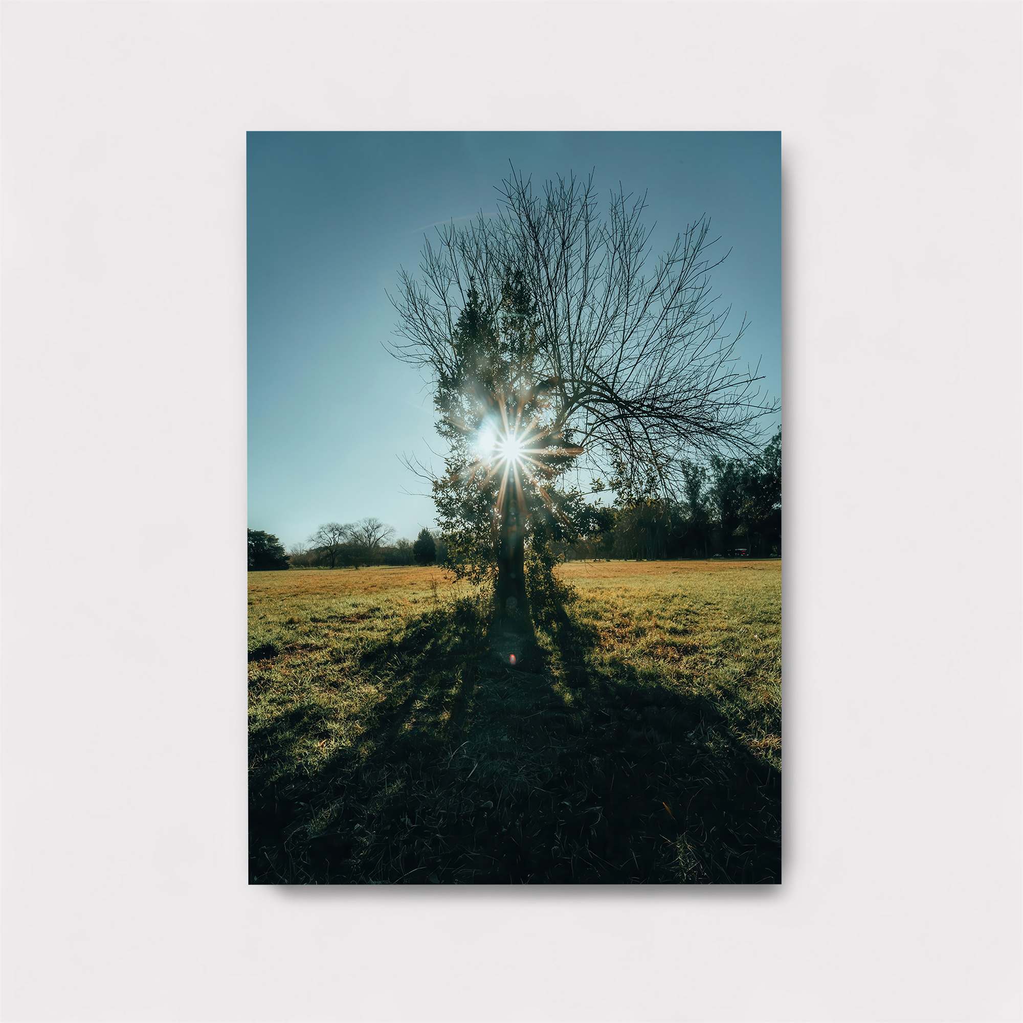 Sunlit Solitude Safe Wall Magnetic / M