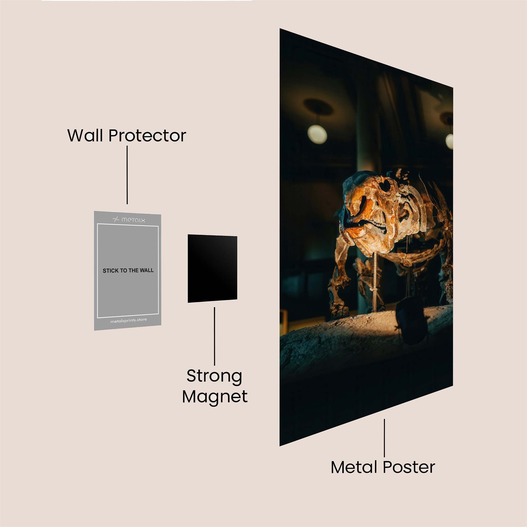 Triceratops Twilight Safe Wall Magnetic / M