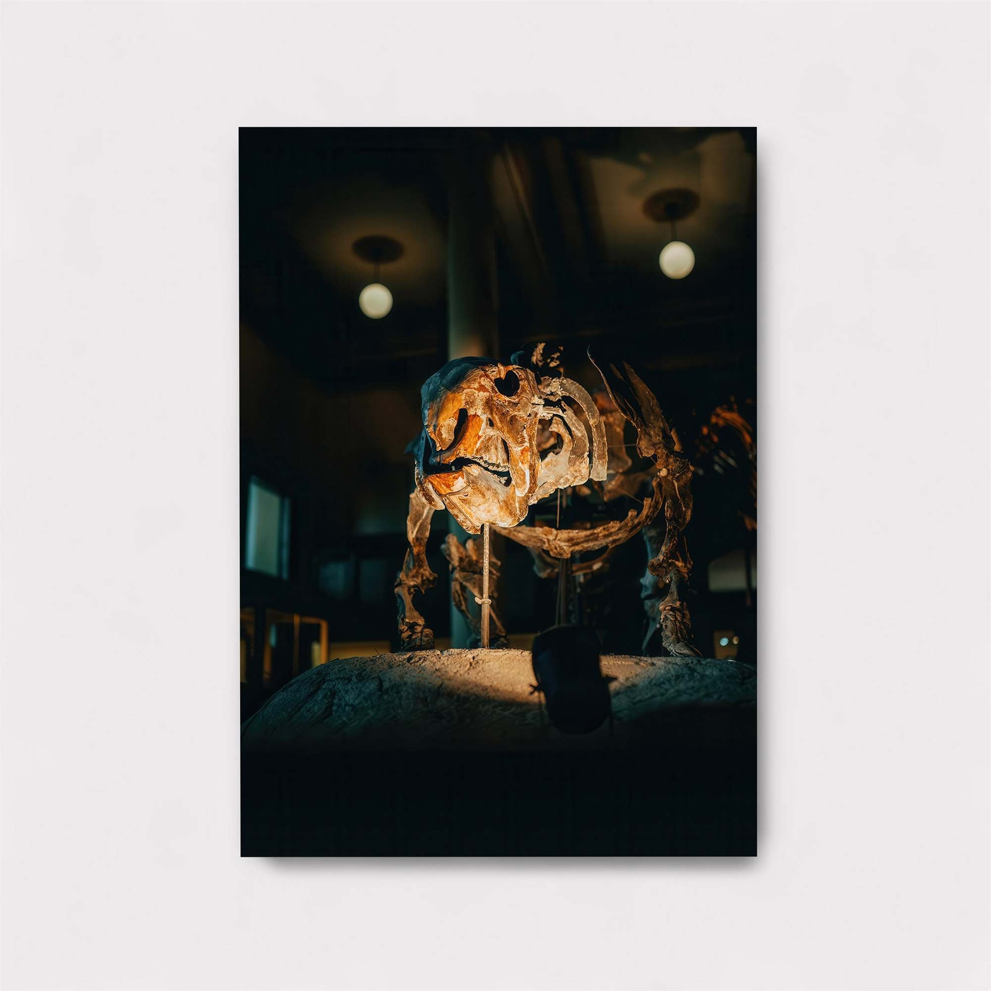 Triceratops Twilight Safe Wall Magnetic / M