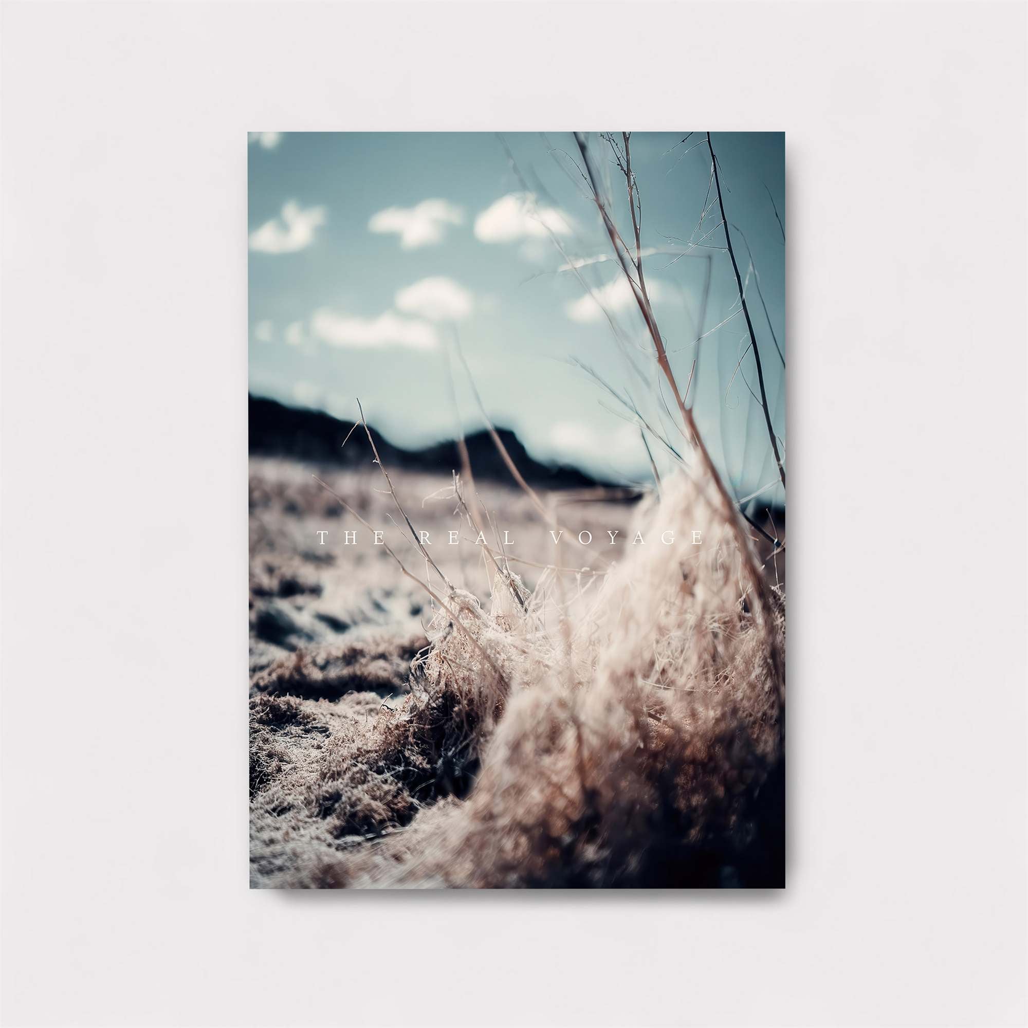 Meadow Whispers Safe Wall Magnetic / M