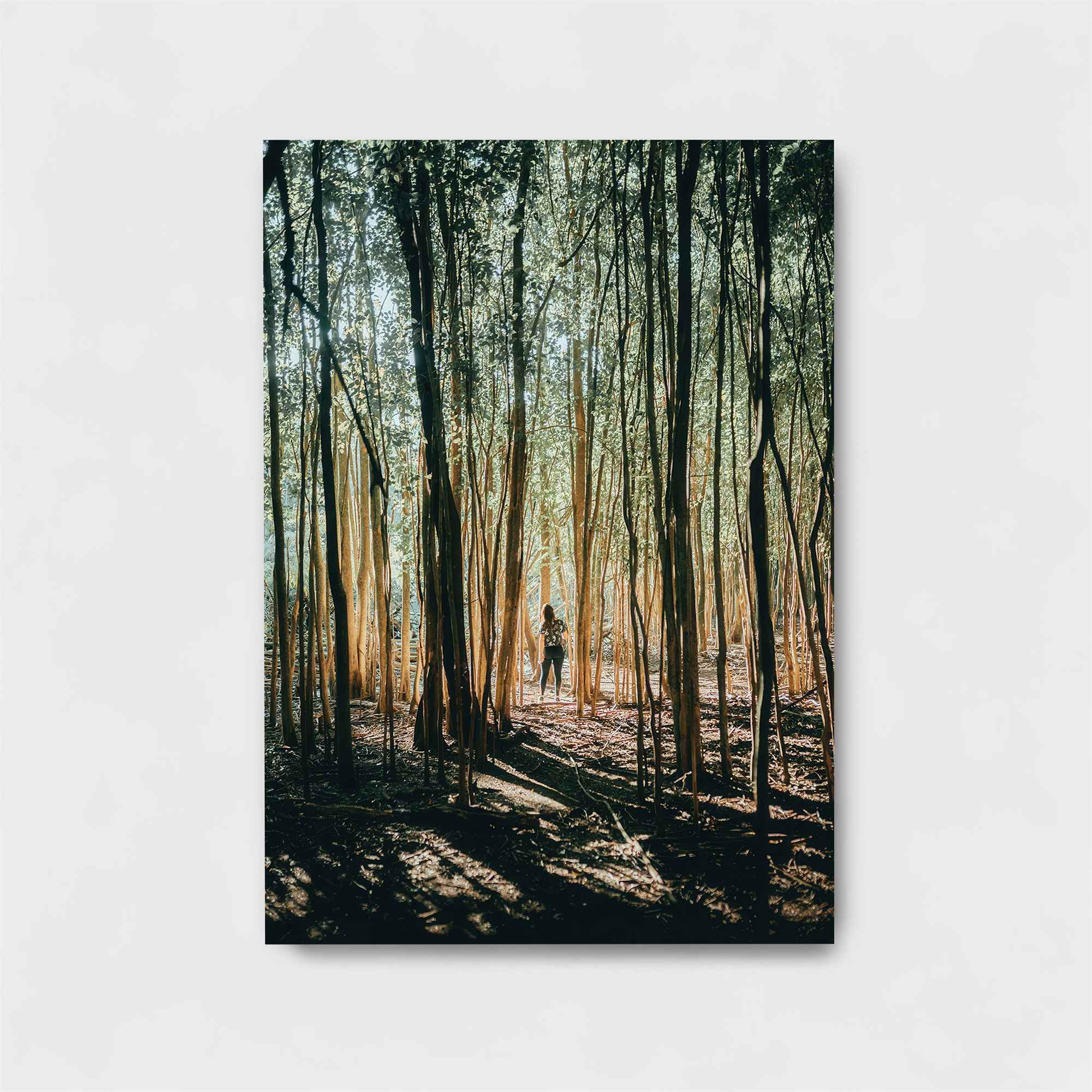 Forest Whispers Safe Wall Magnetic / M