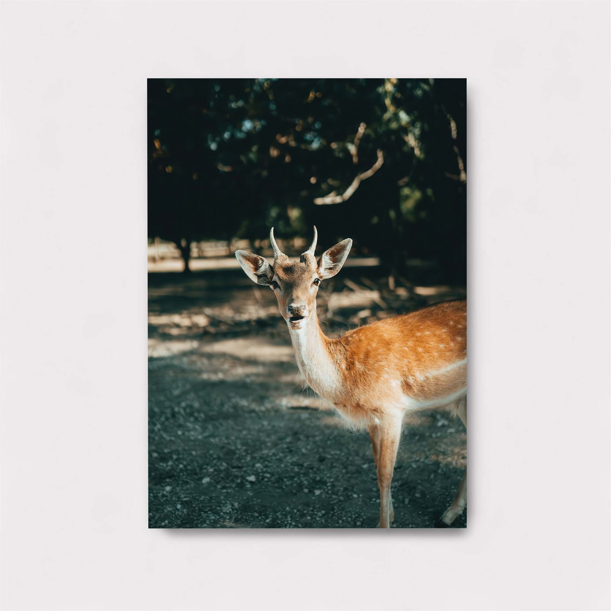 Deer Serenity Safe Wall Magnetic / M