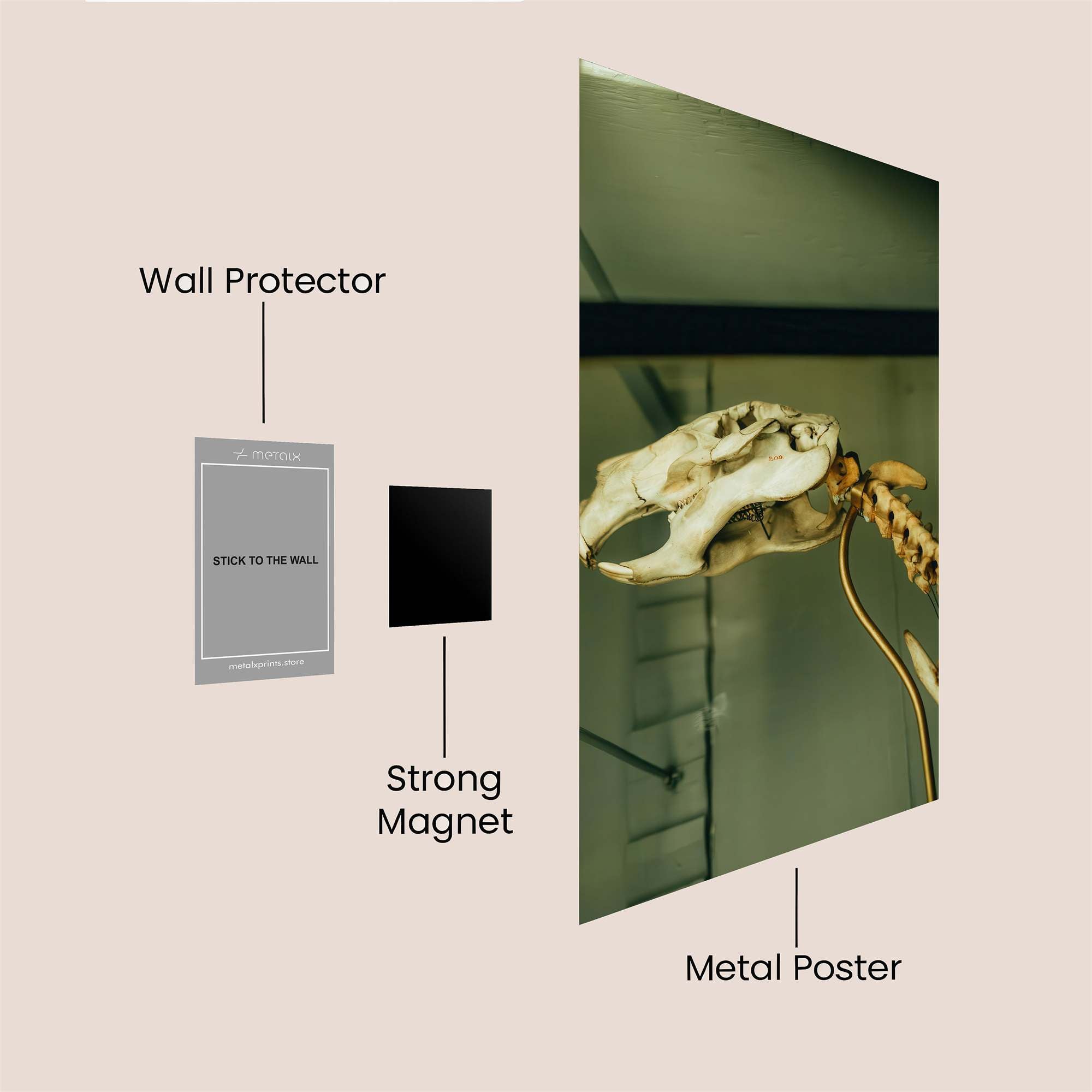 Skull Mystery Safe Wall Magnetic / M