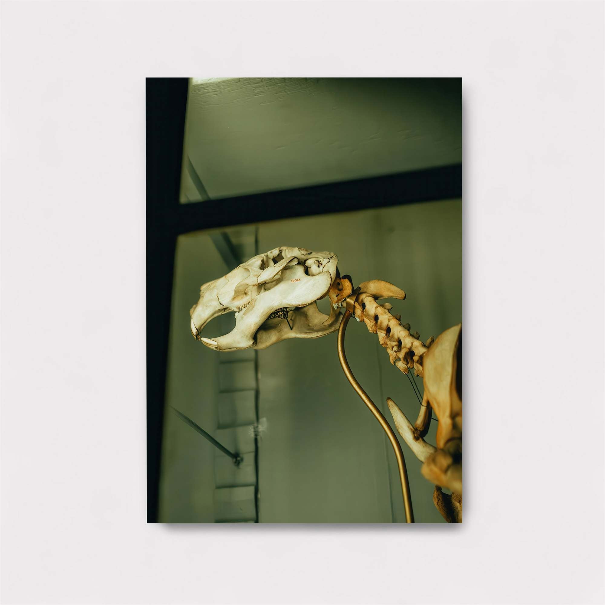 Skull Mystery Safe Wall Magnetic / M
