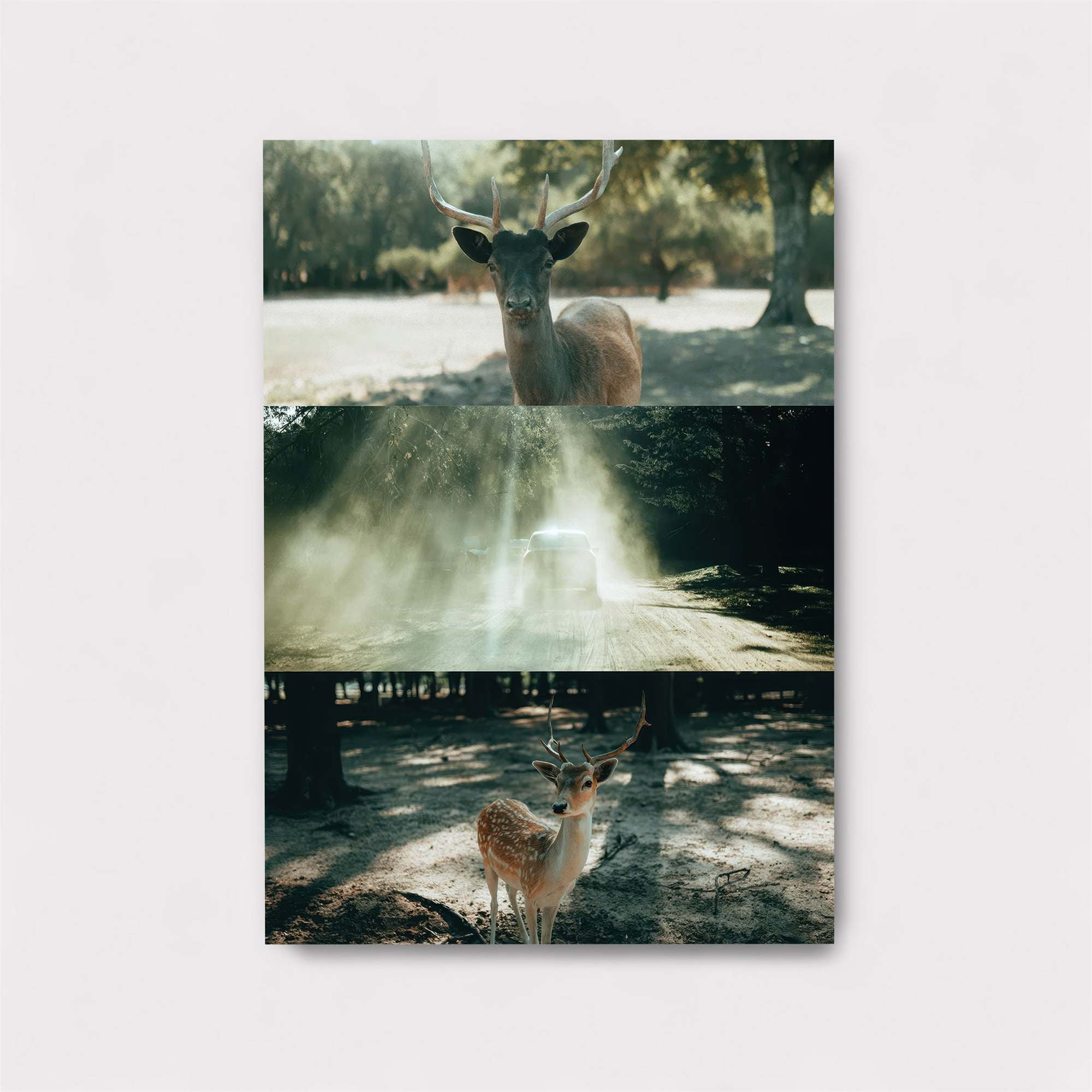 Deer Serenity Safe Wall Magnetic / M