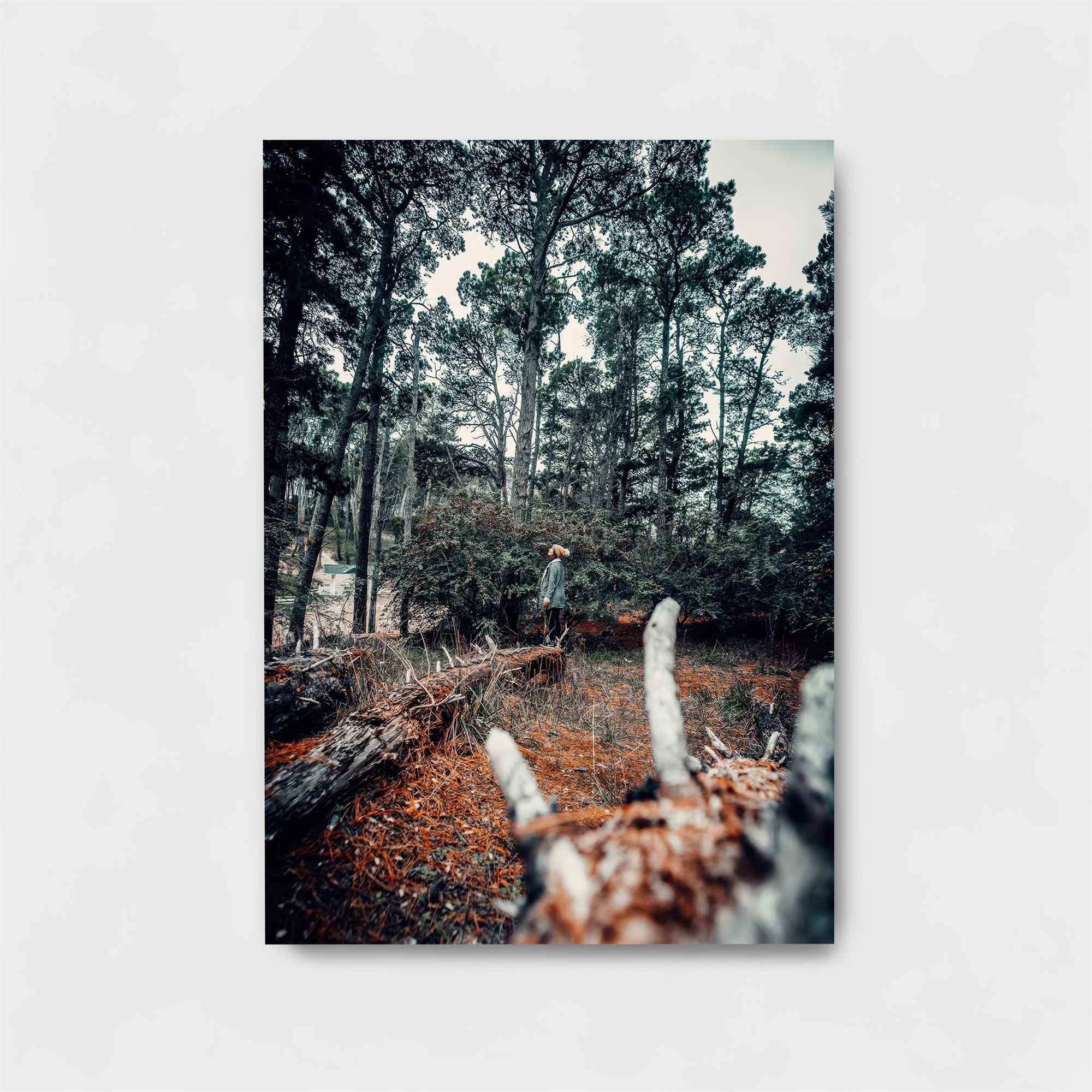 Forest Serenity Safe Wall Magnetic / M