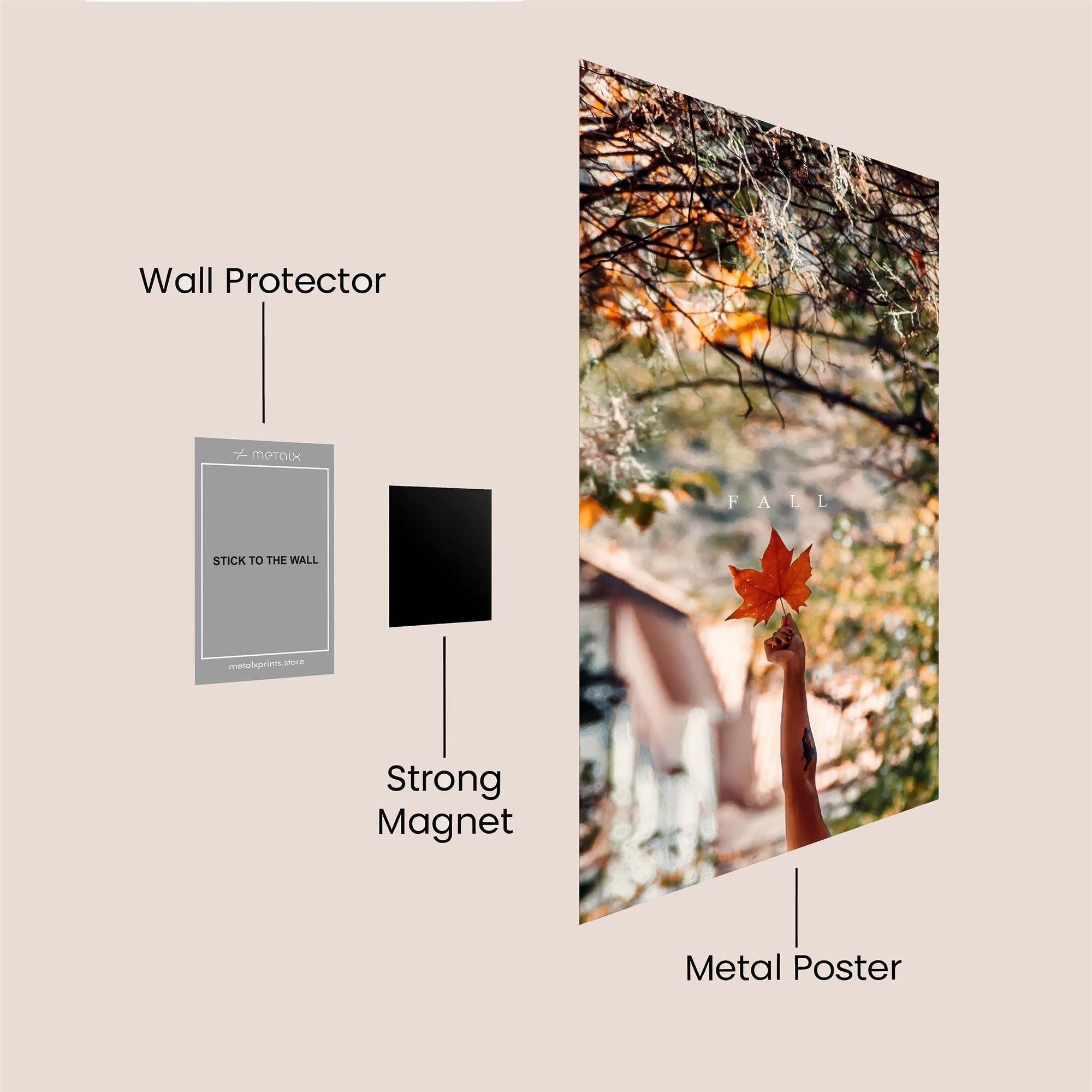 Autumn Joy Safe Wall Magnetic / M