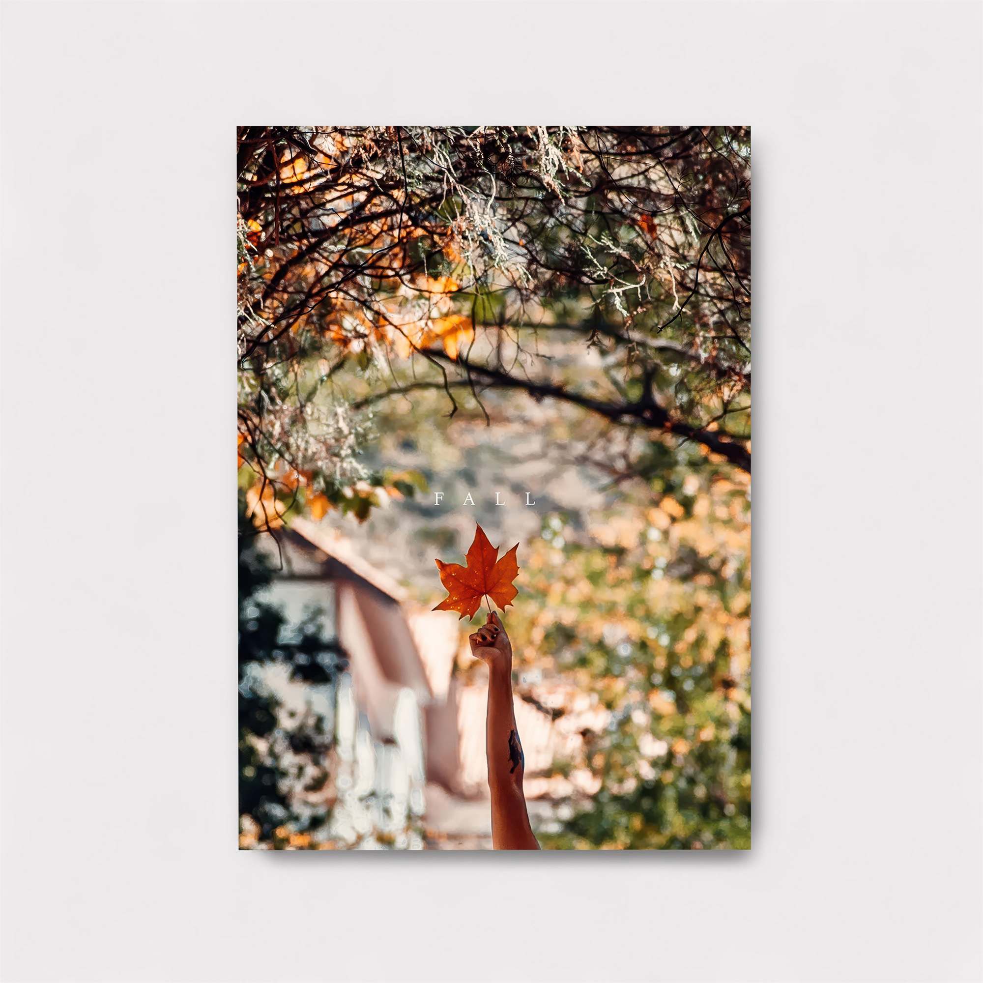 Autumn Joy Safe Wall Magnetic / M