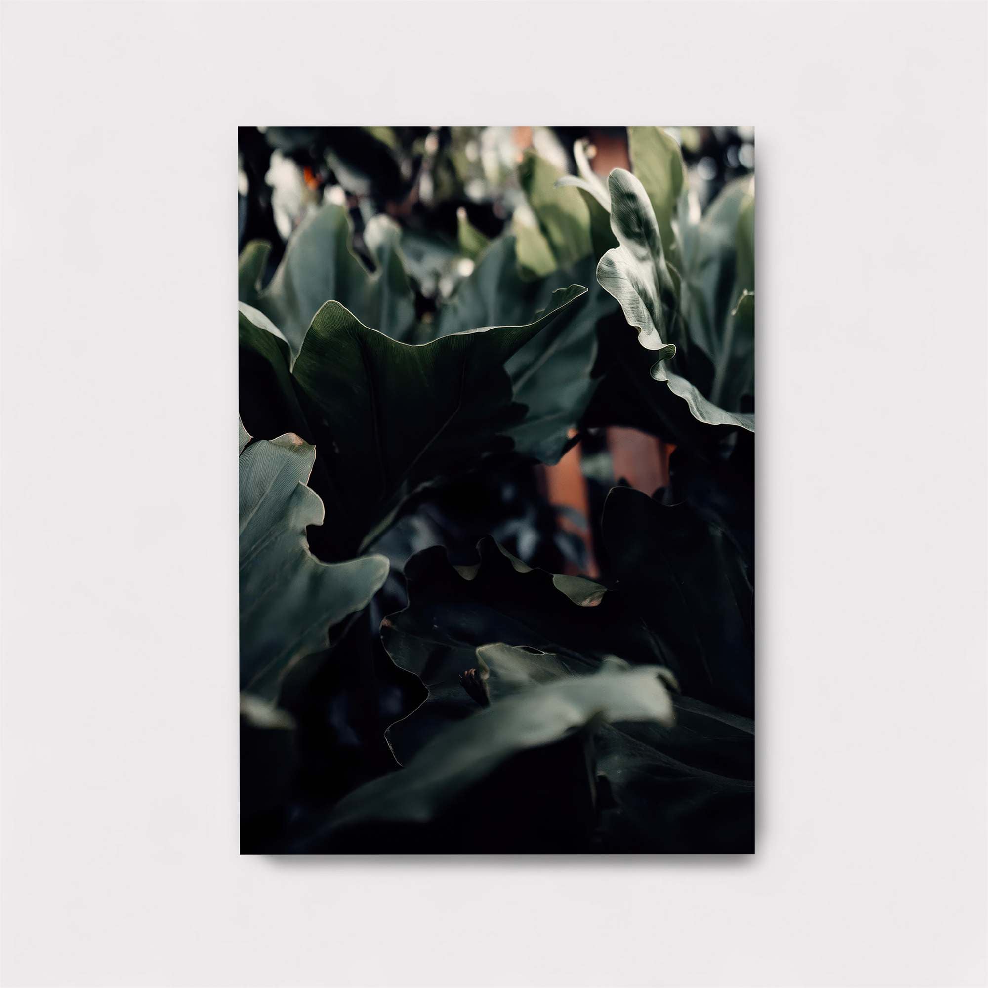 Foliage Mystery Safe Wall Magnetic / M