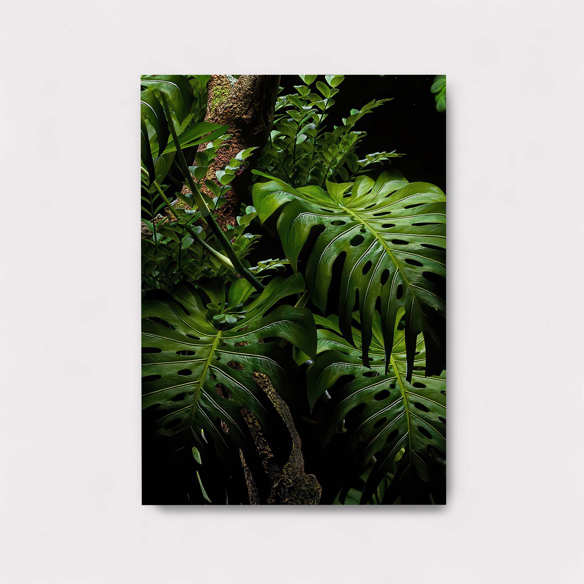 Starlit Wonder Safe Wall Magnetic / M