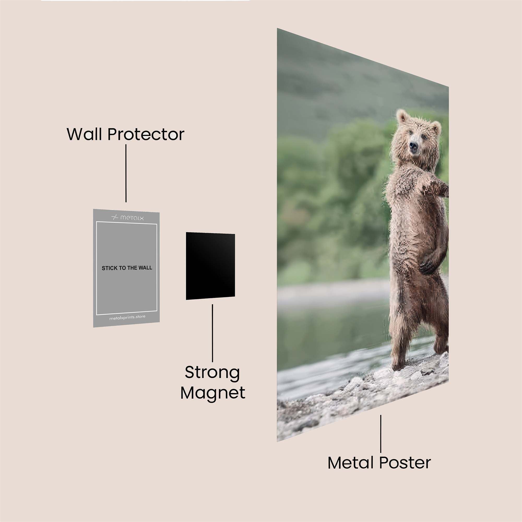 Starry Serenity Safe Wall Magnetic / M