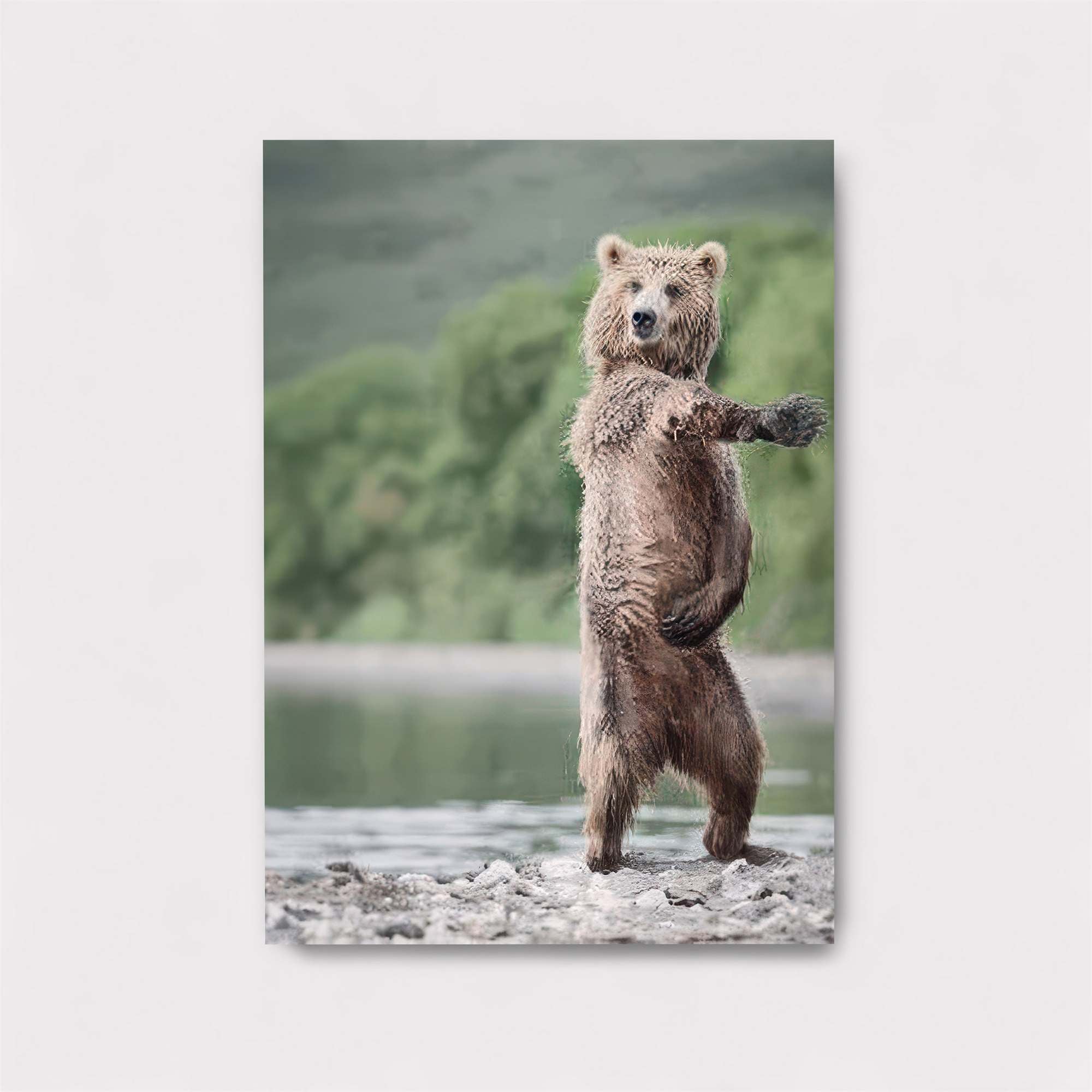 Starry Serenity Safe Wall Magnetic / M