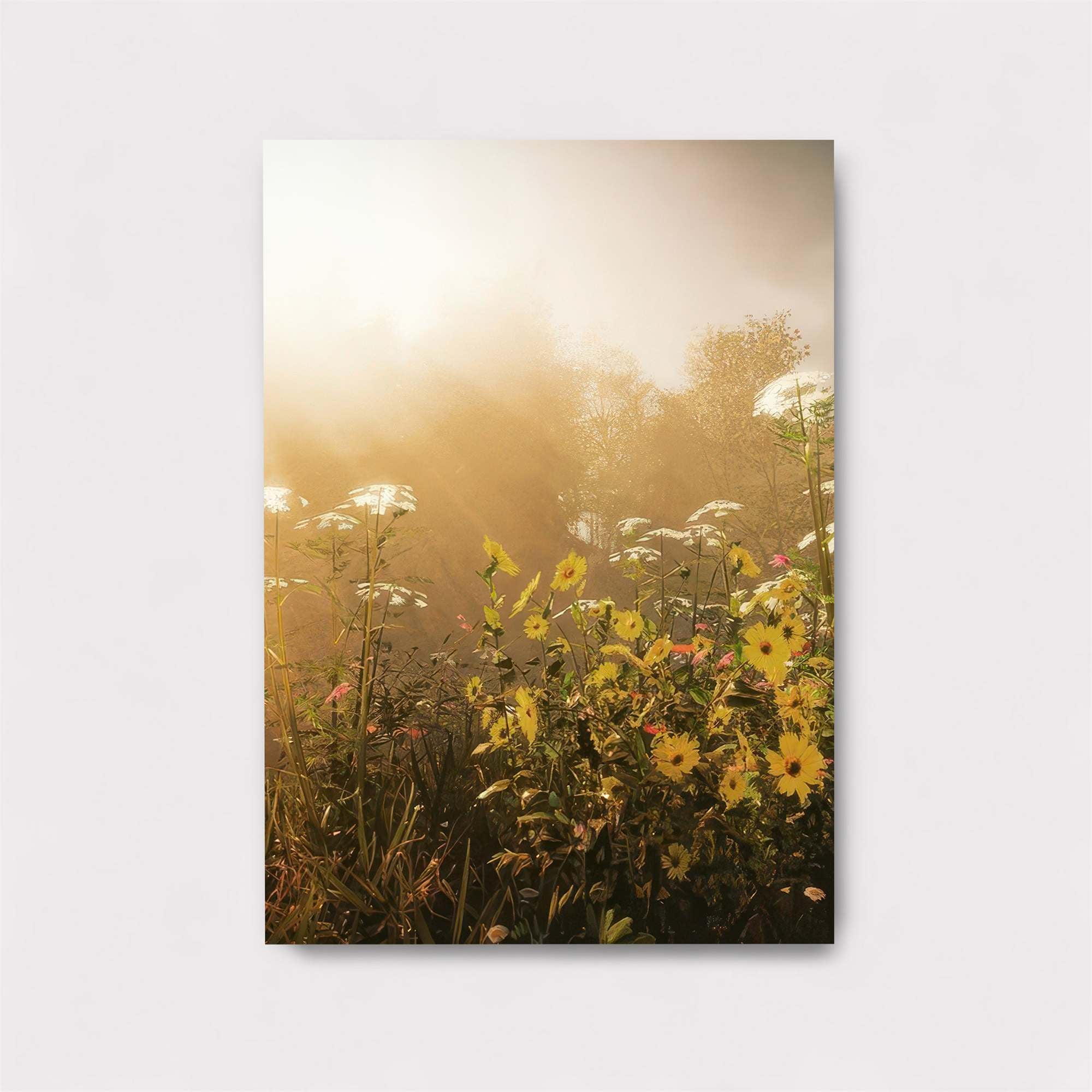 Stargazer's Serenity Safe Wall Magnetic / M