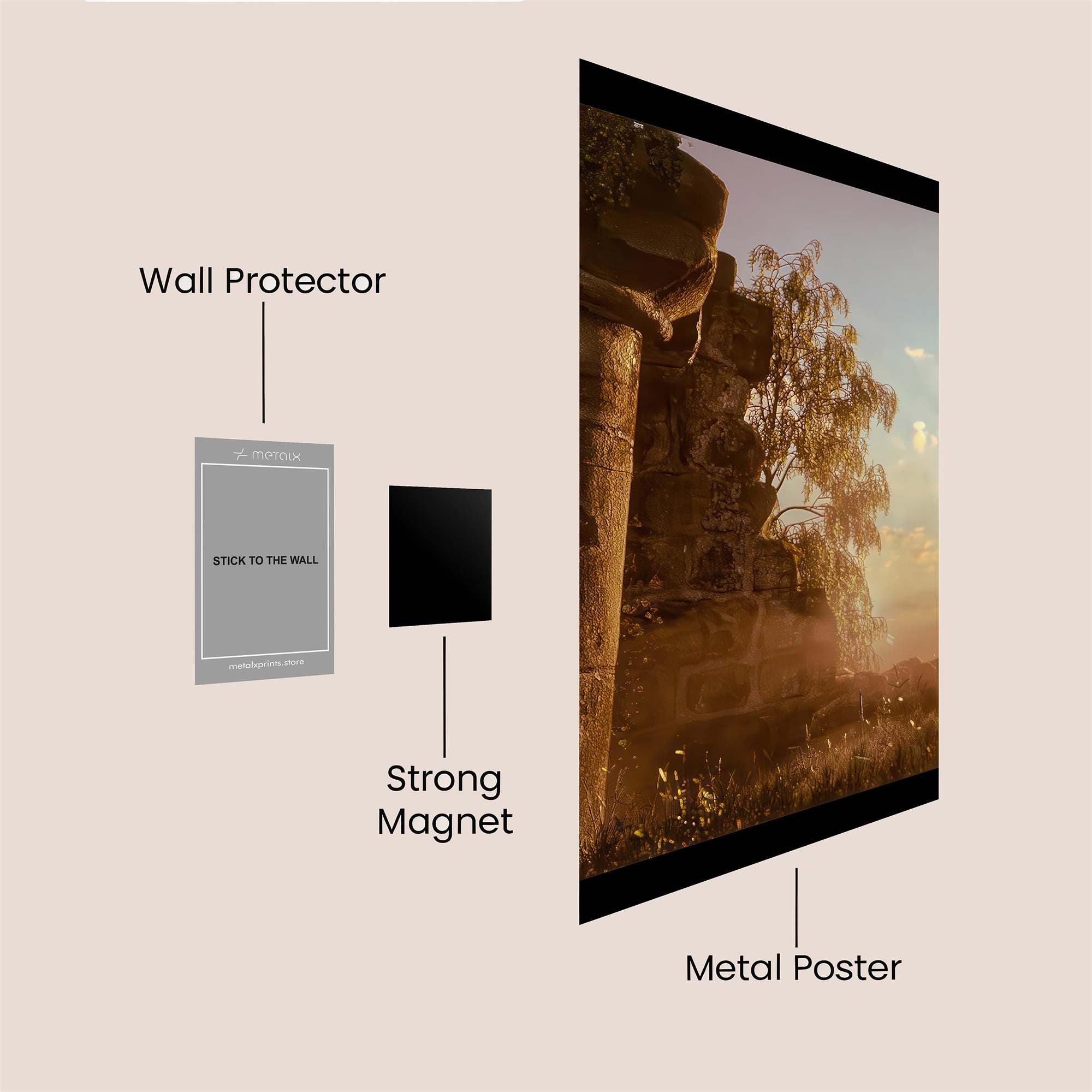 Curly Contemplation Safe Wall Magnetic / M