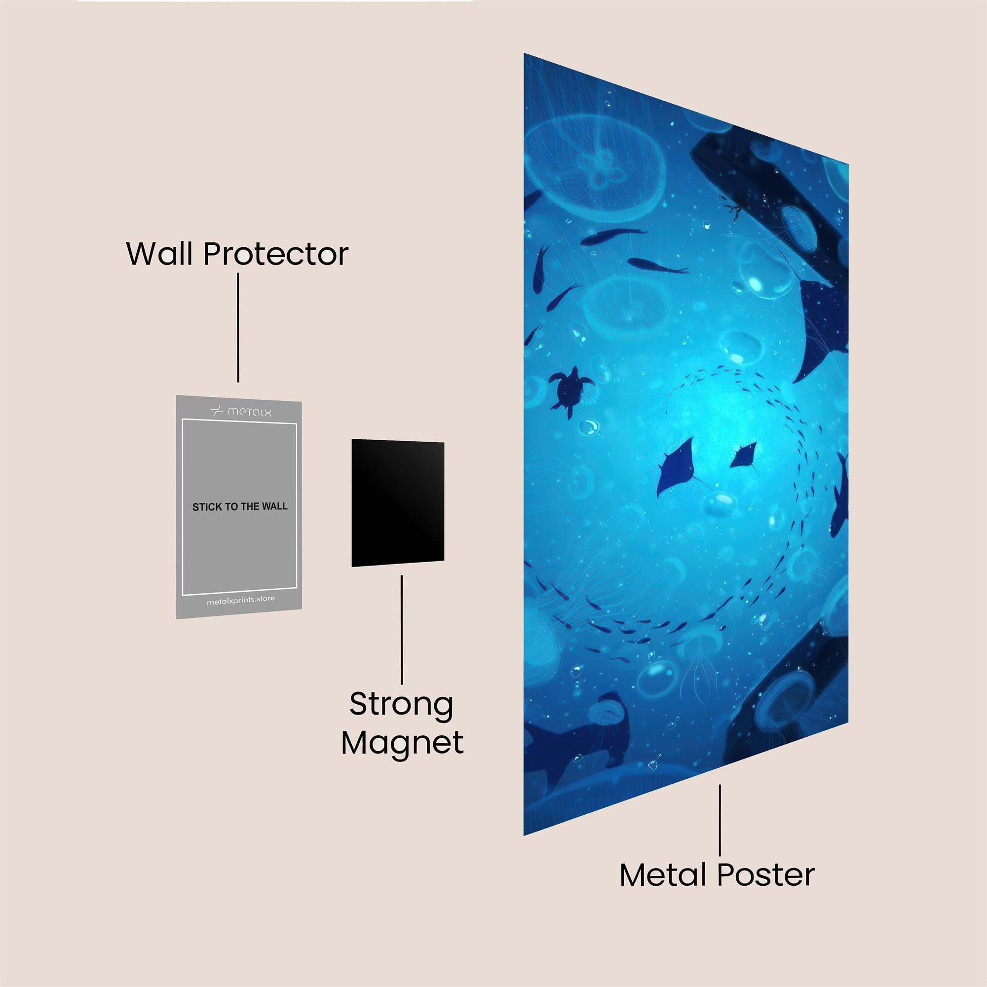 Turtle Tranquil Safe Wall Magnetic / M