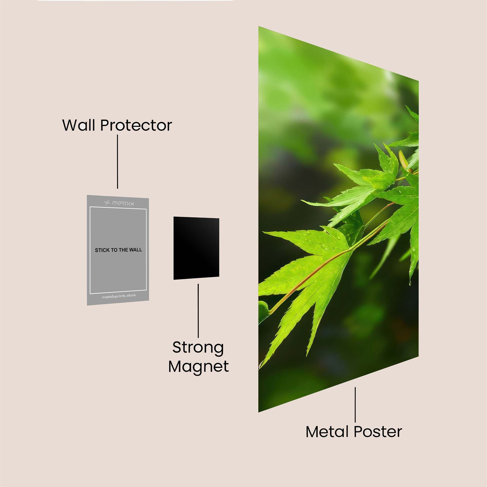Torii Dream Safe Wall Magnetic / M