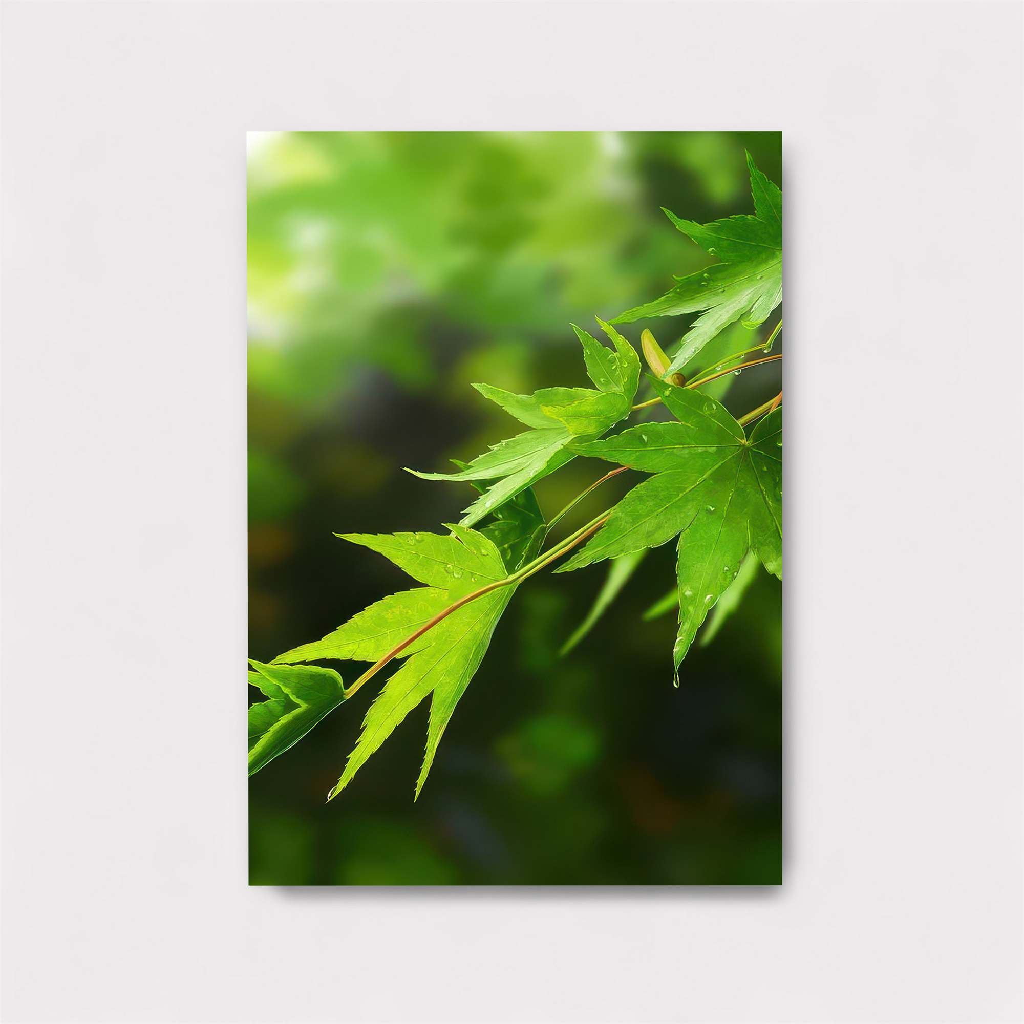 Torii Dream Safe Wall Magnetic / M