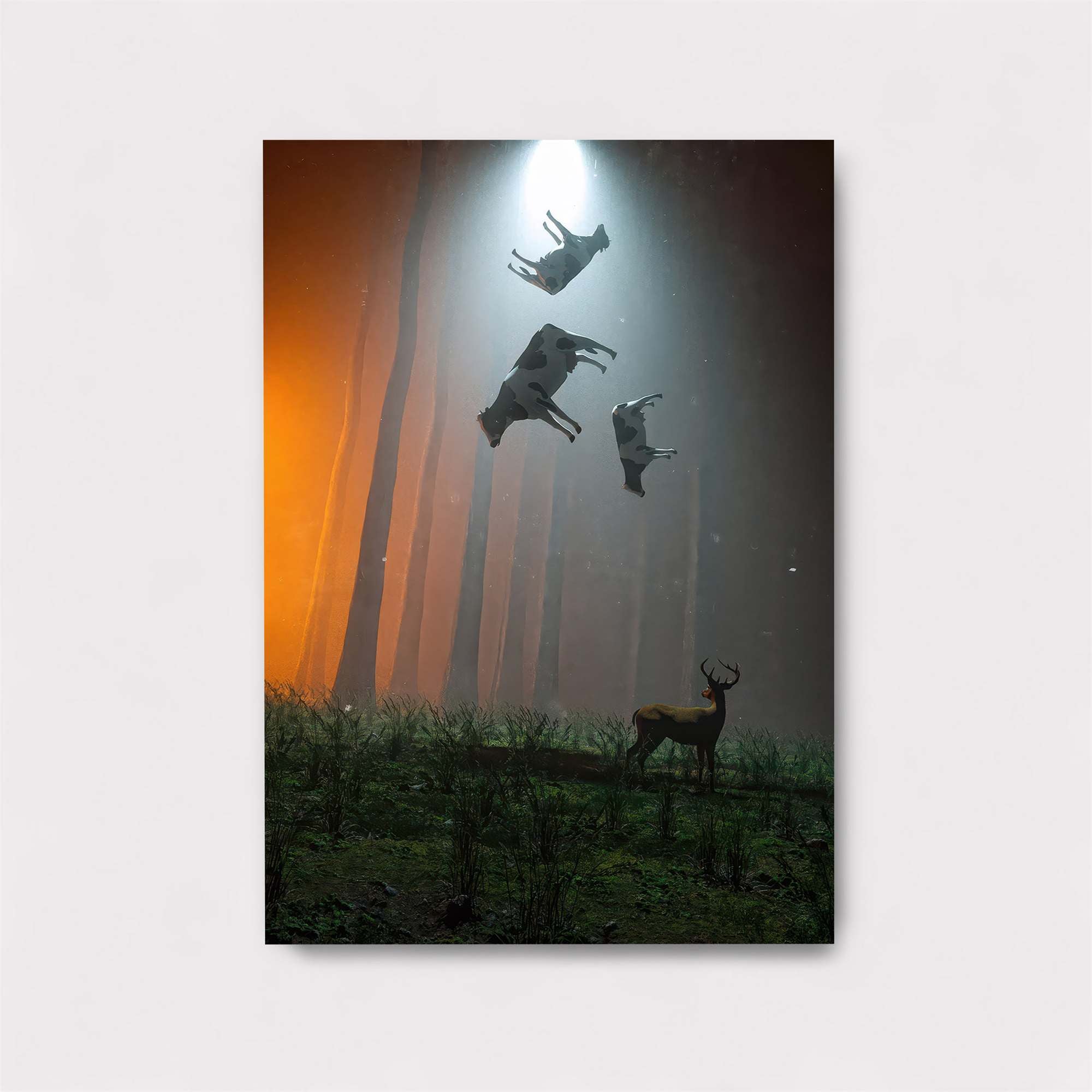 Cows Abducted Safe Wall Magnetic / M