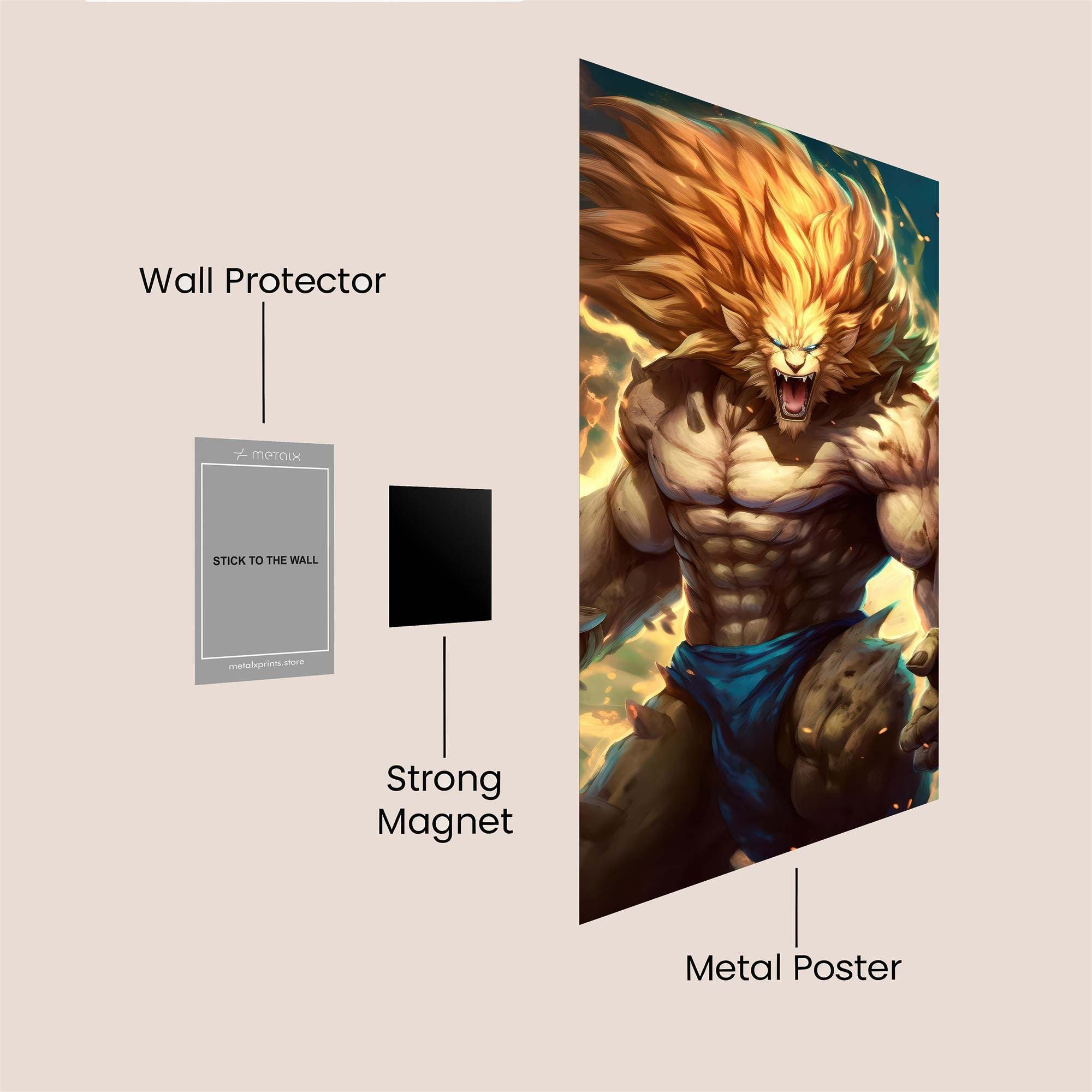 Aslan Fierce Safe Wall Magnetic / M