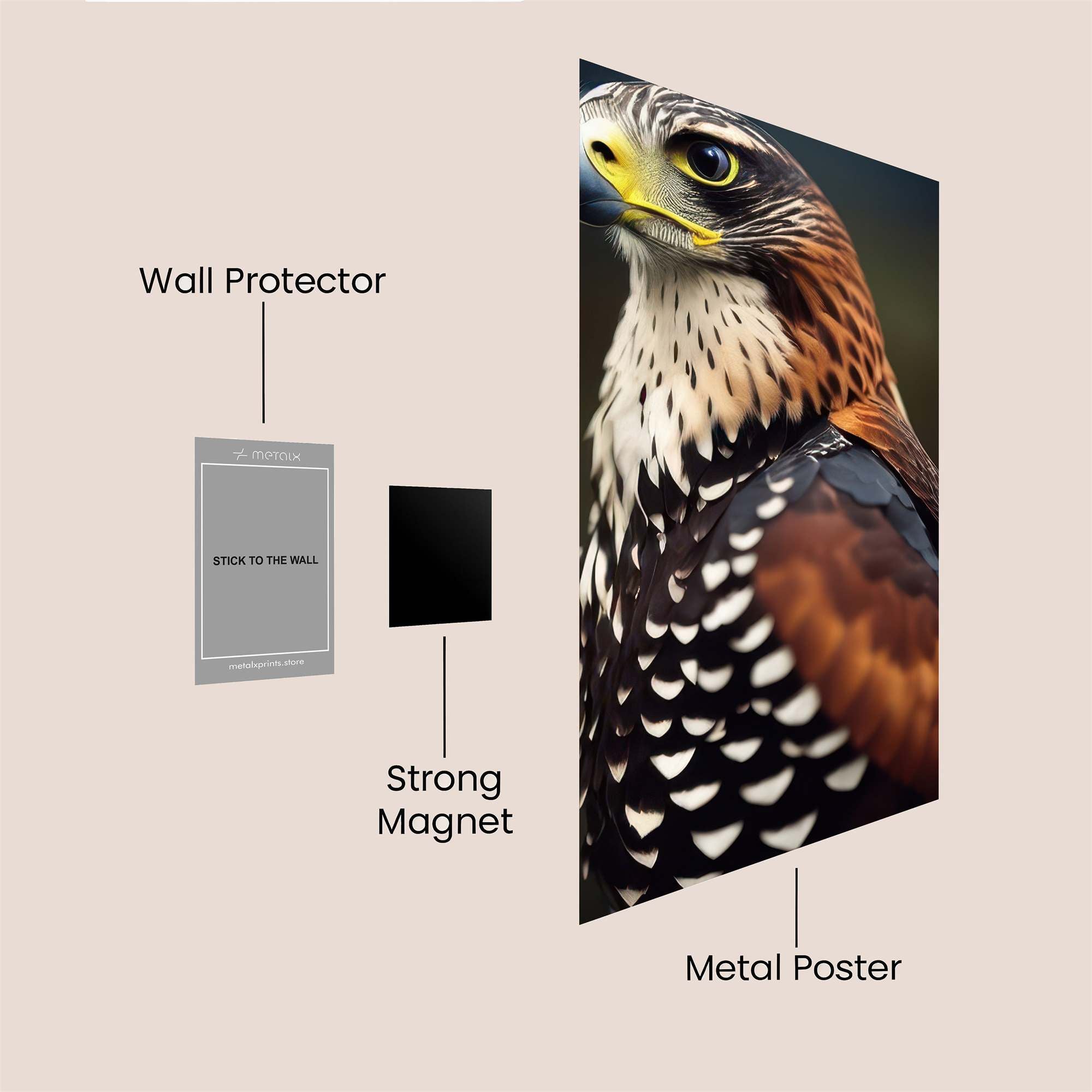 Ferruginous Regal Safe Wall Magnetic / M