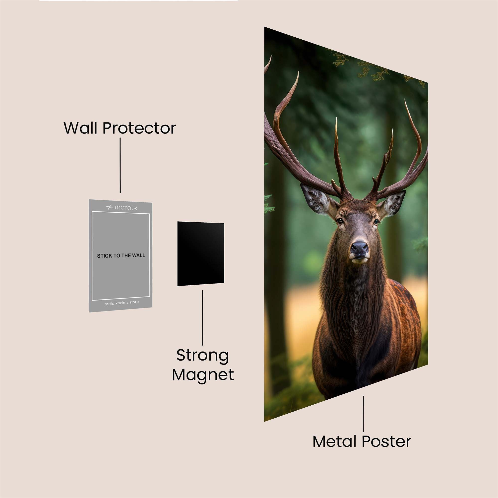 Stag Majestic Safe Wall Magnetic / M