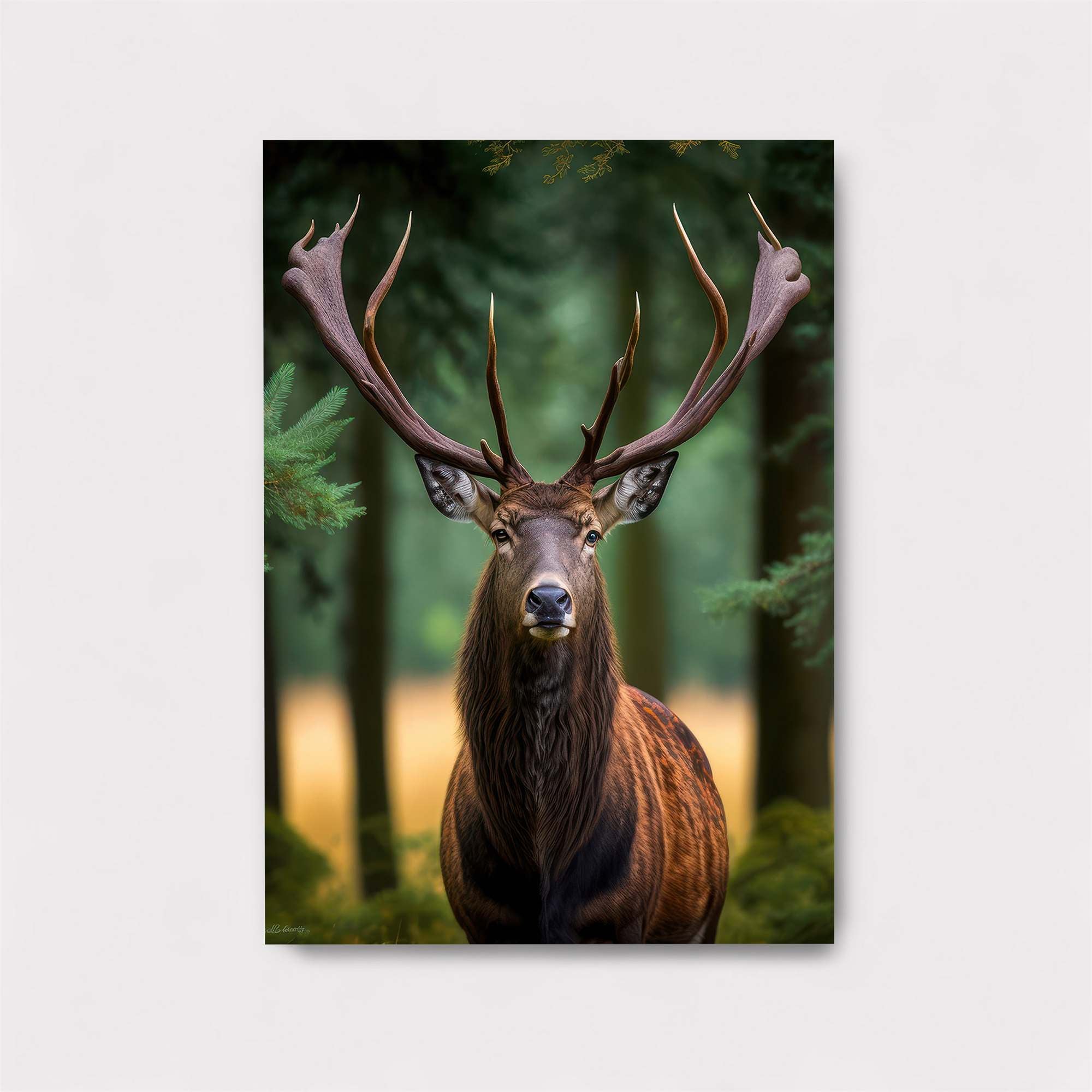 Stag Majestic Safe Wall Magnetic / M