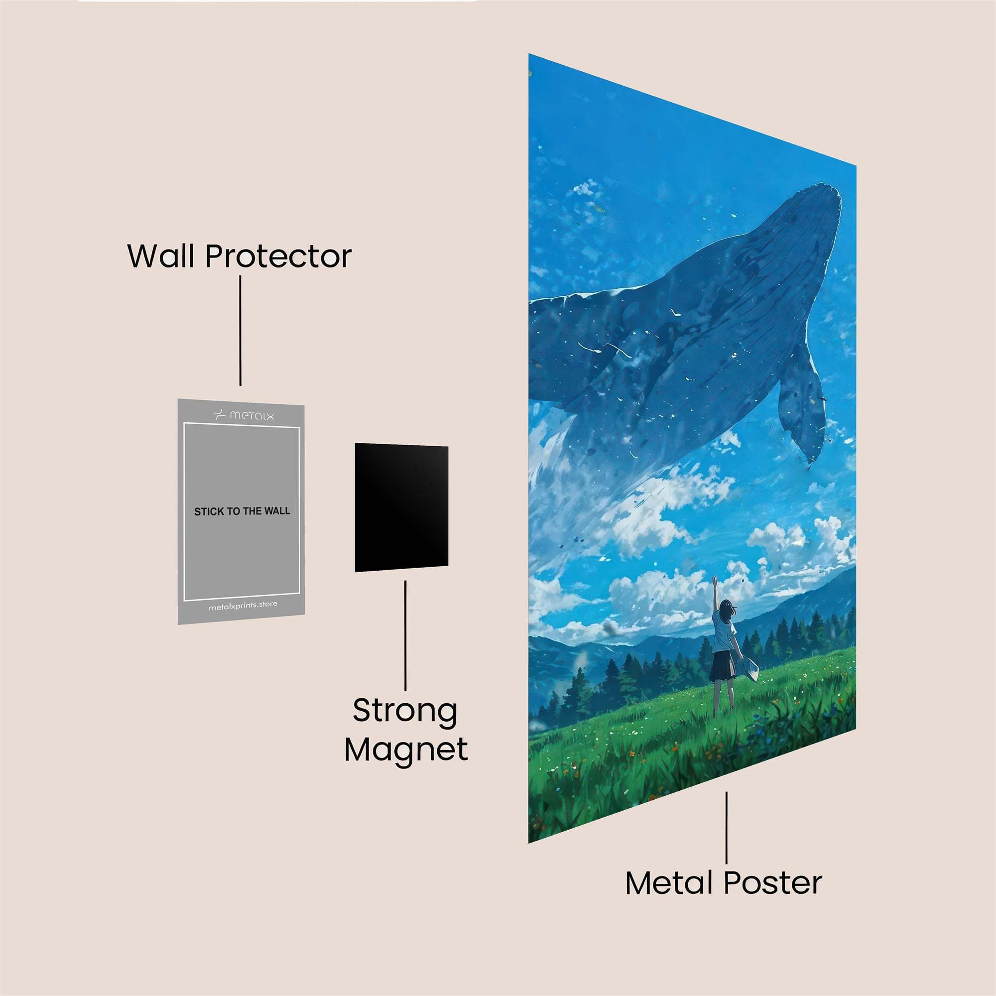 Whale Wonder Safe Wall Magnetic / M