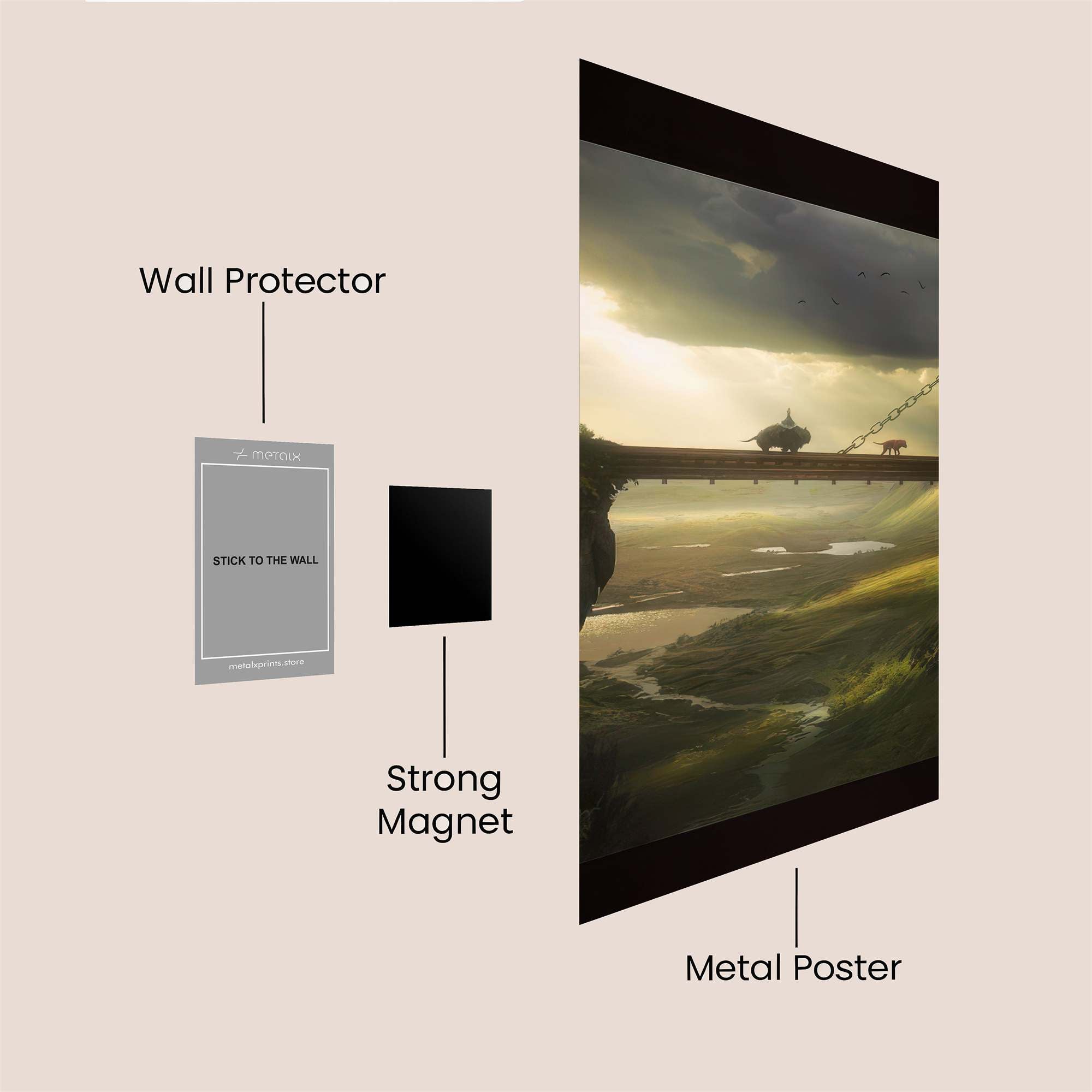 Tortoise Tranquil Safe Wall Magnetic / M