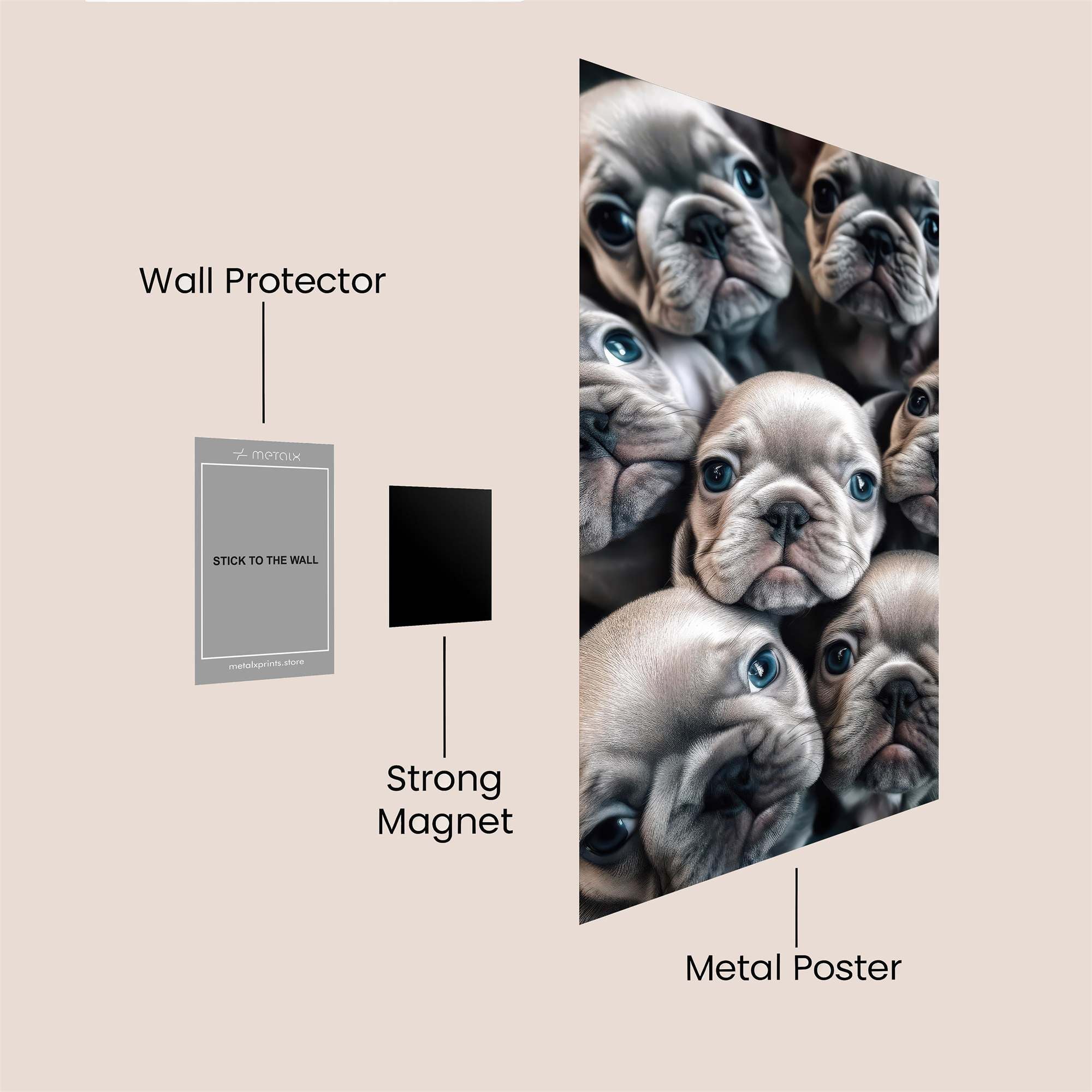 Frenchies Delight Safe Wall Magnetic / M