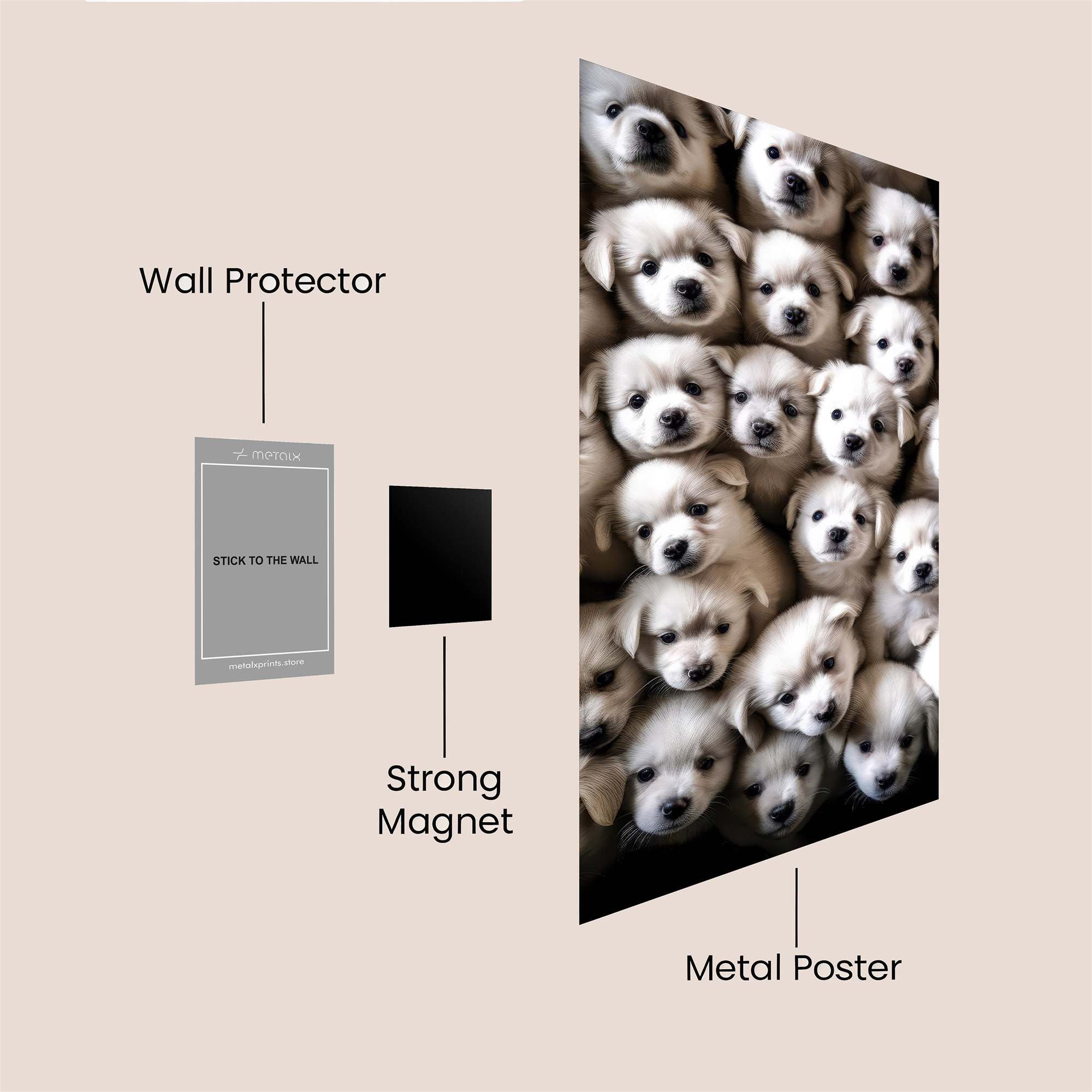 Puppy Parade Safe Wall Magnetic / M