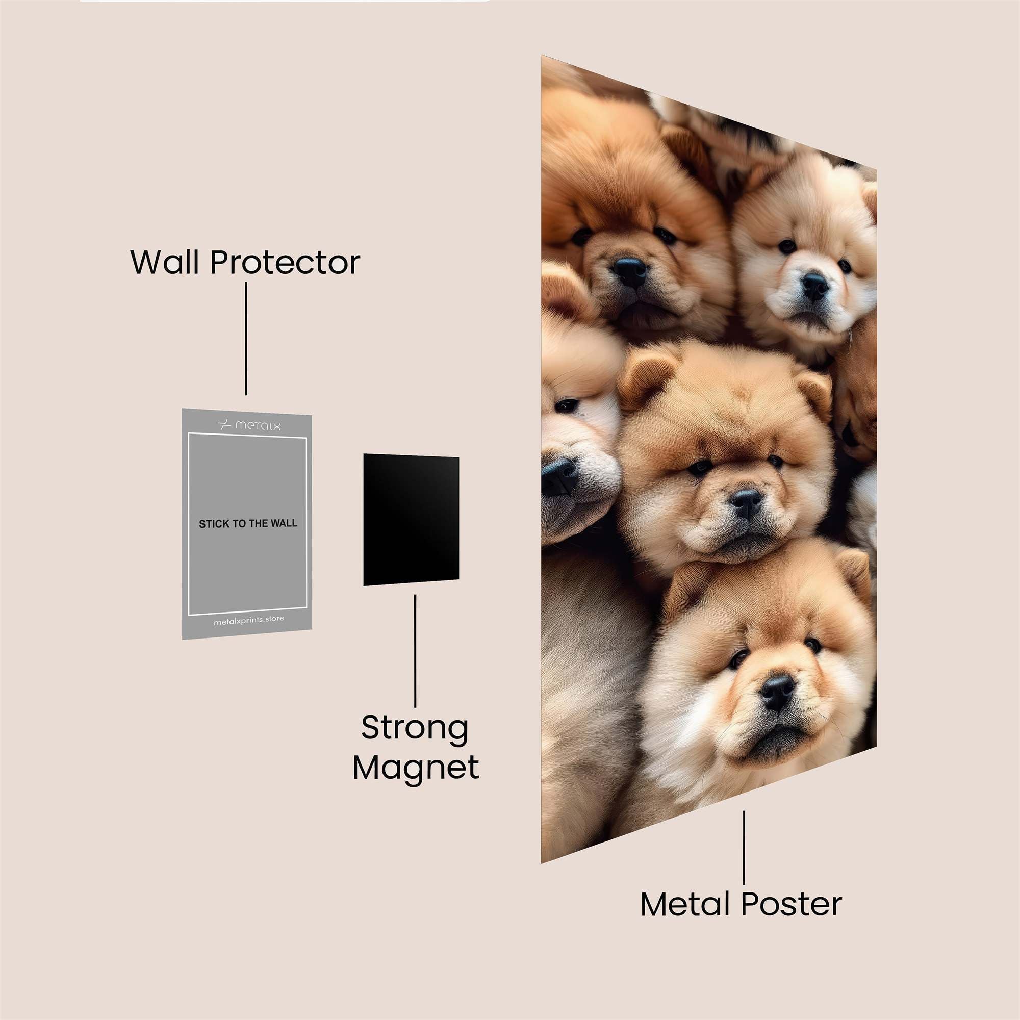 Chow Joy Safe Wall Magnetic / M