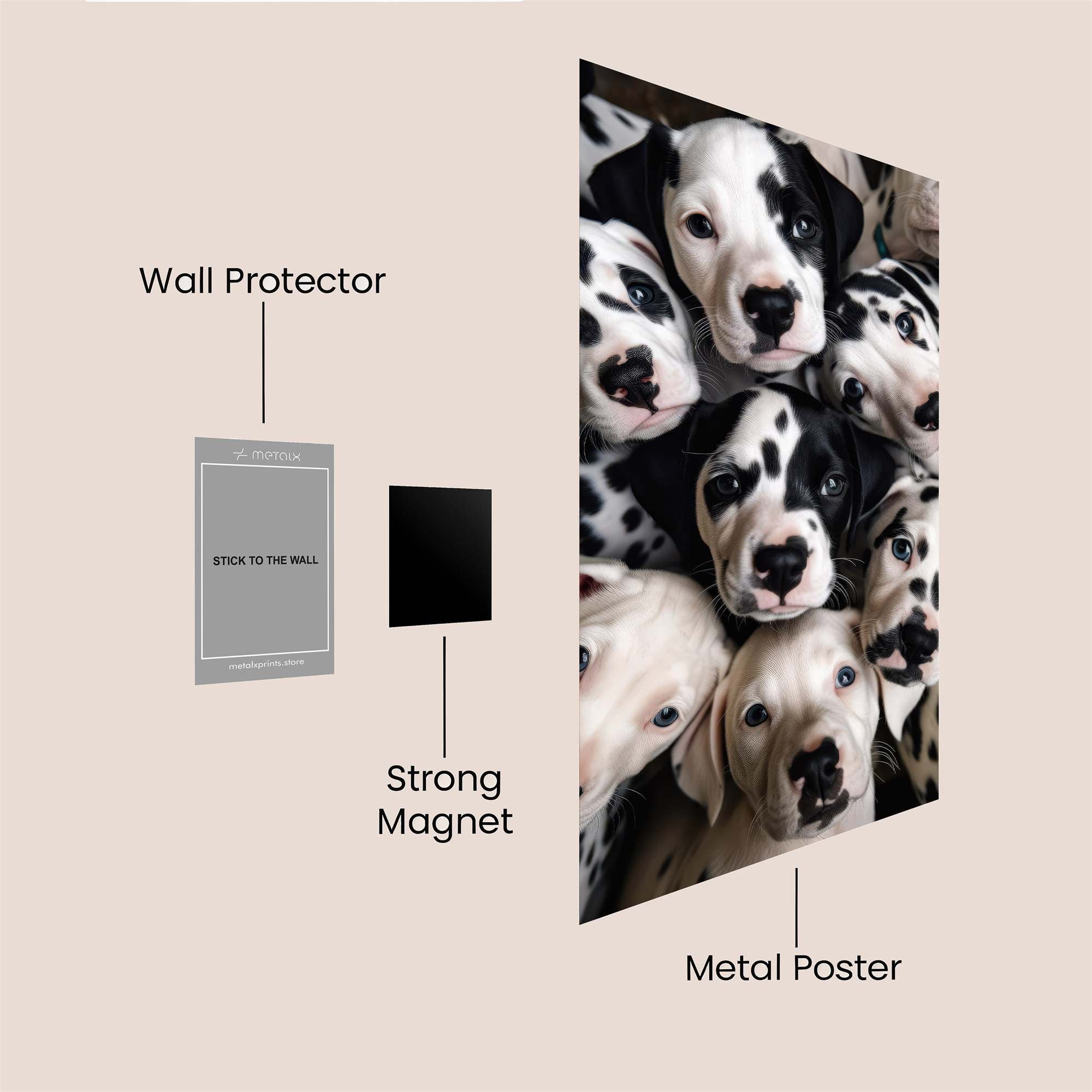 Dalmatian Delight Safe Wall Magnetic / M