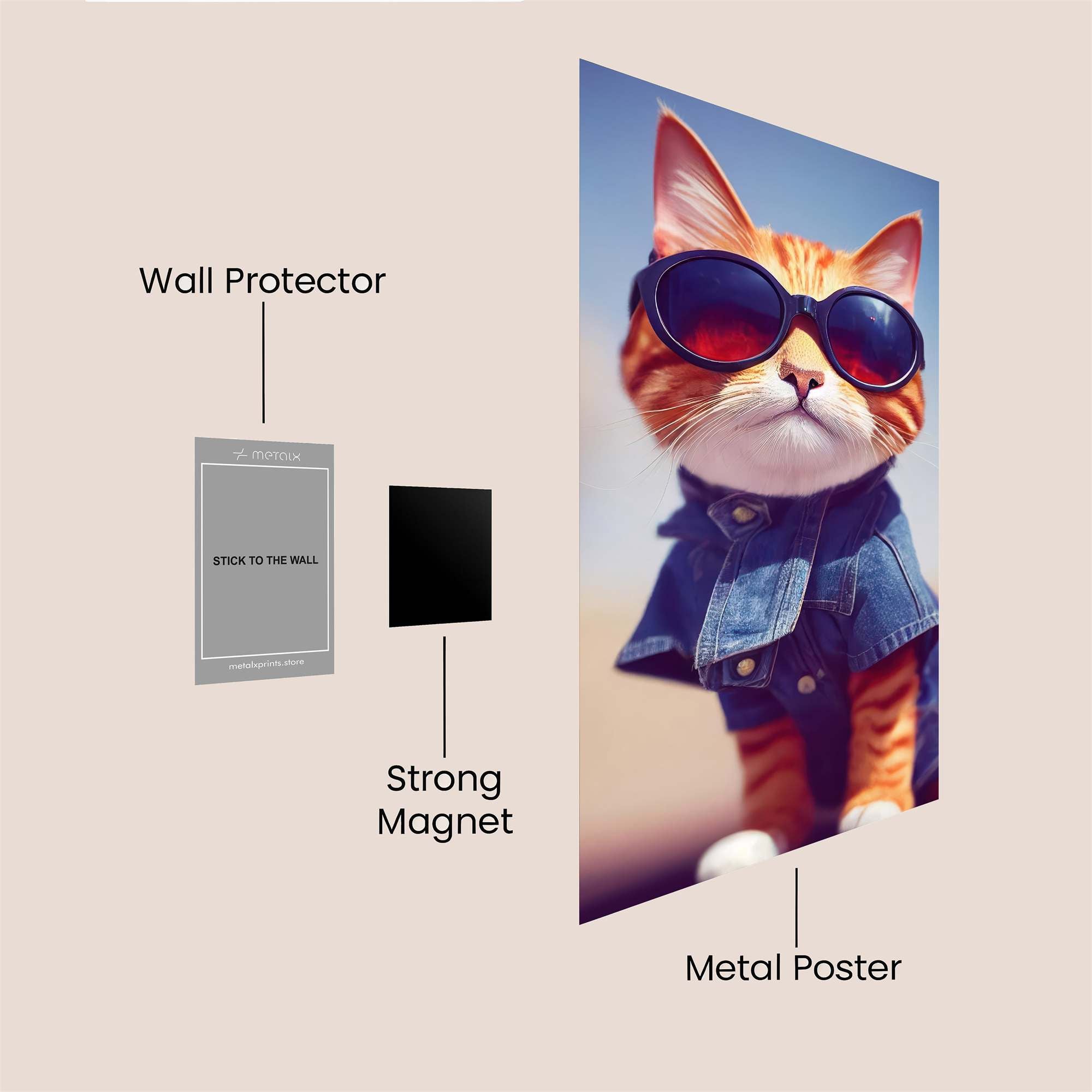 Cool Cat Safe Wall Magnetic / M