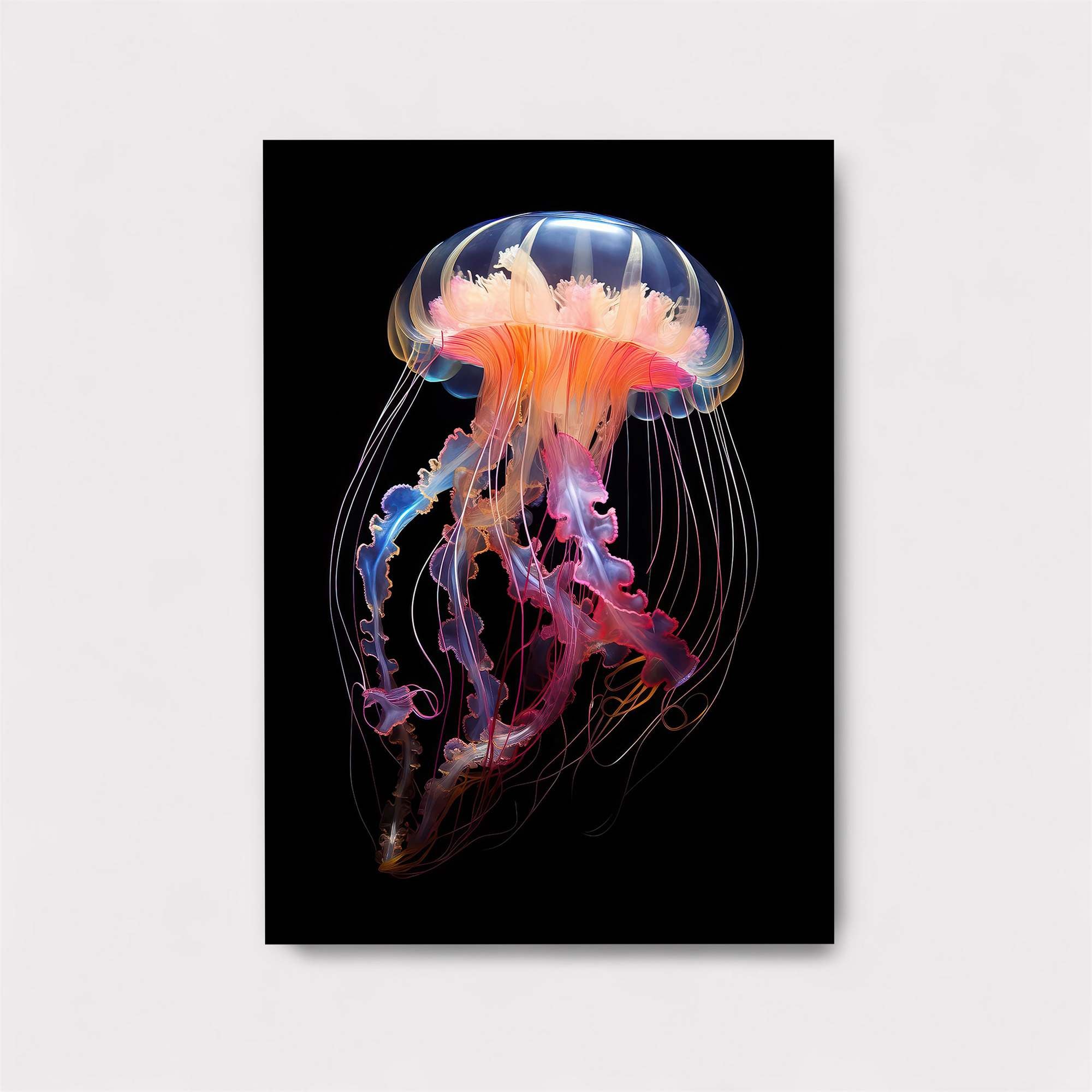 Jelly Radiance Safe Wall Magnetic / M