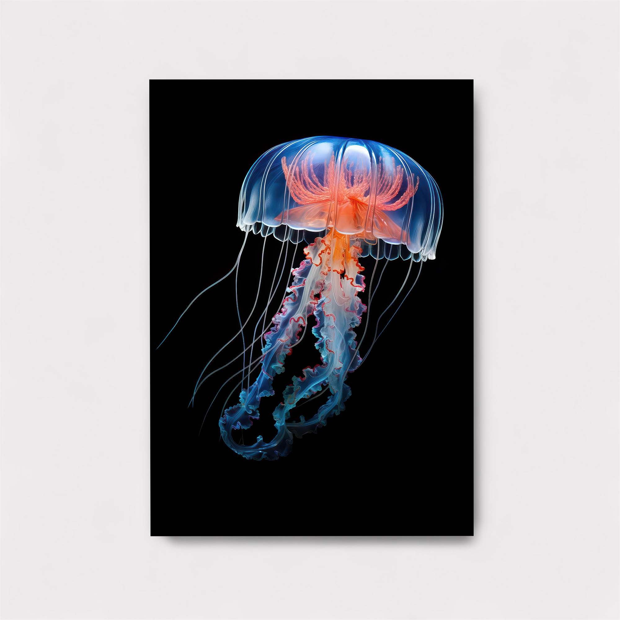 Jelly Radiance Safe Wall Magnetic / M