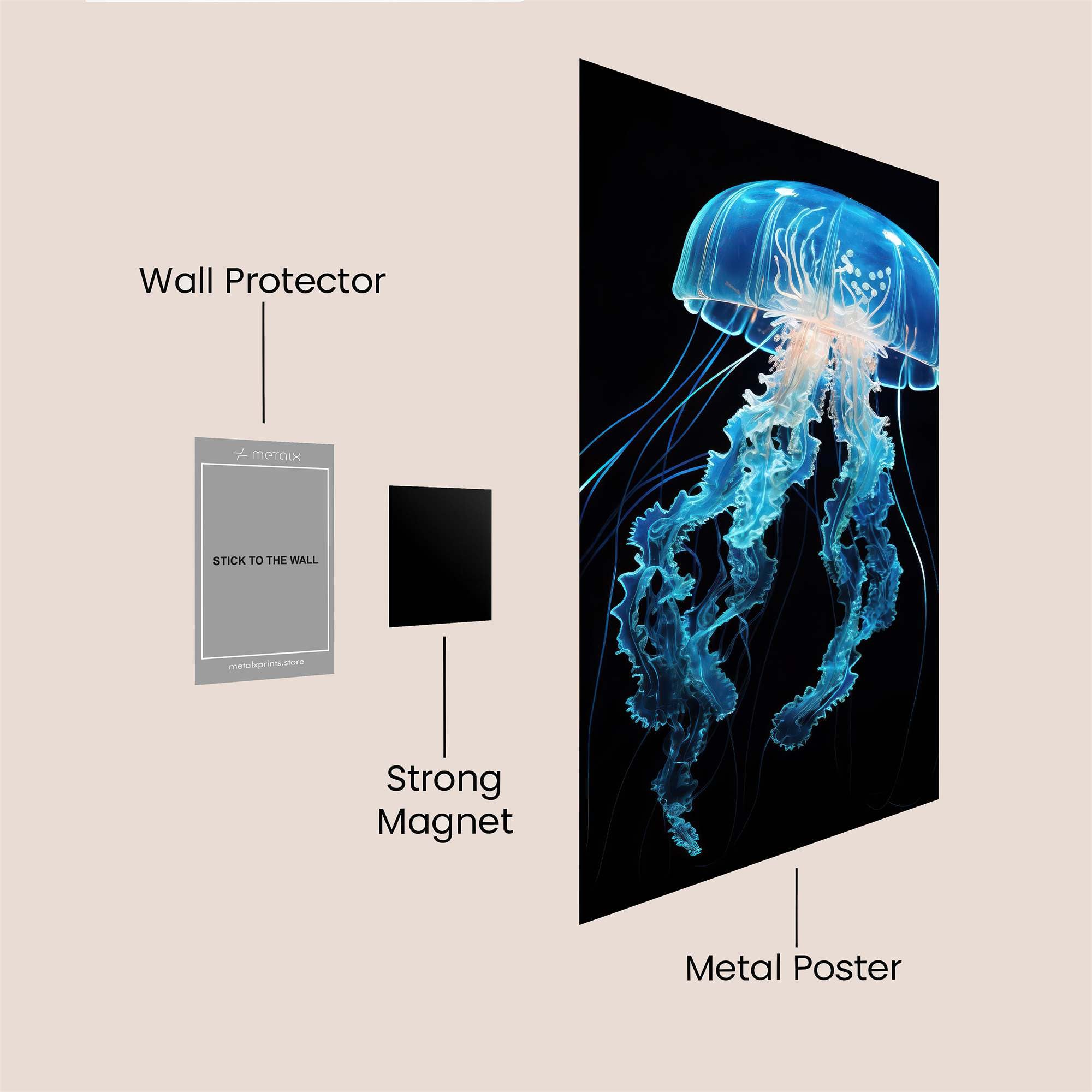 Jelly Dream Safe Wall Magnetic / M