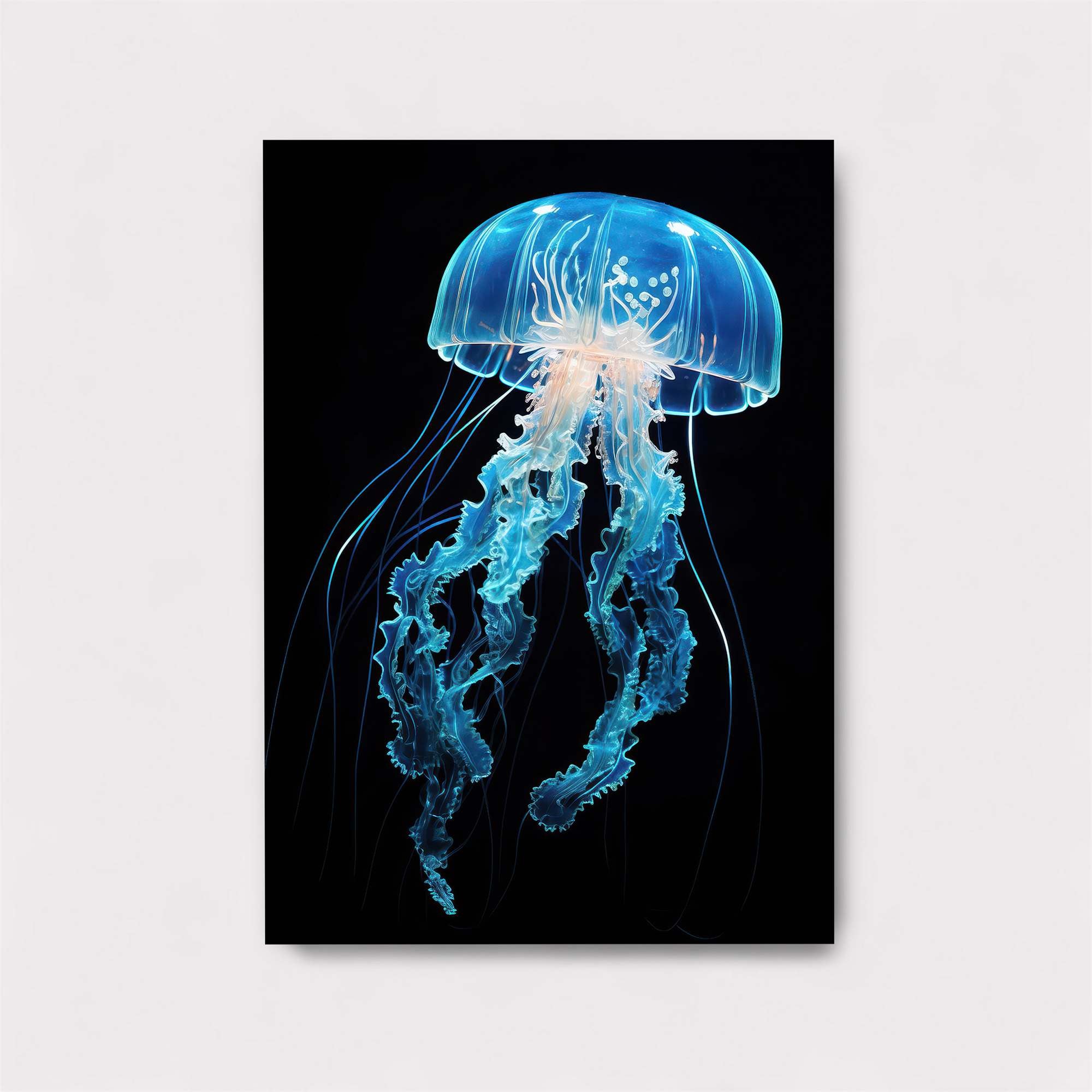 Jelly Dream Safe Wall Magnetic / M