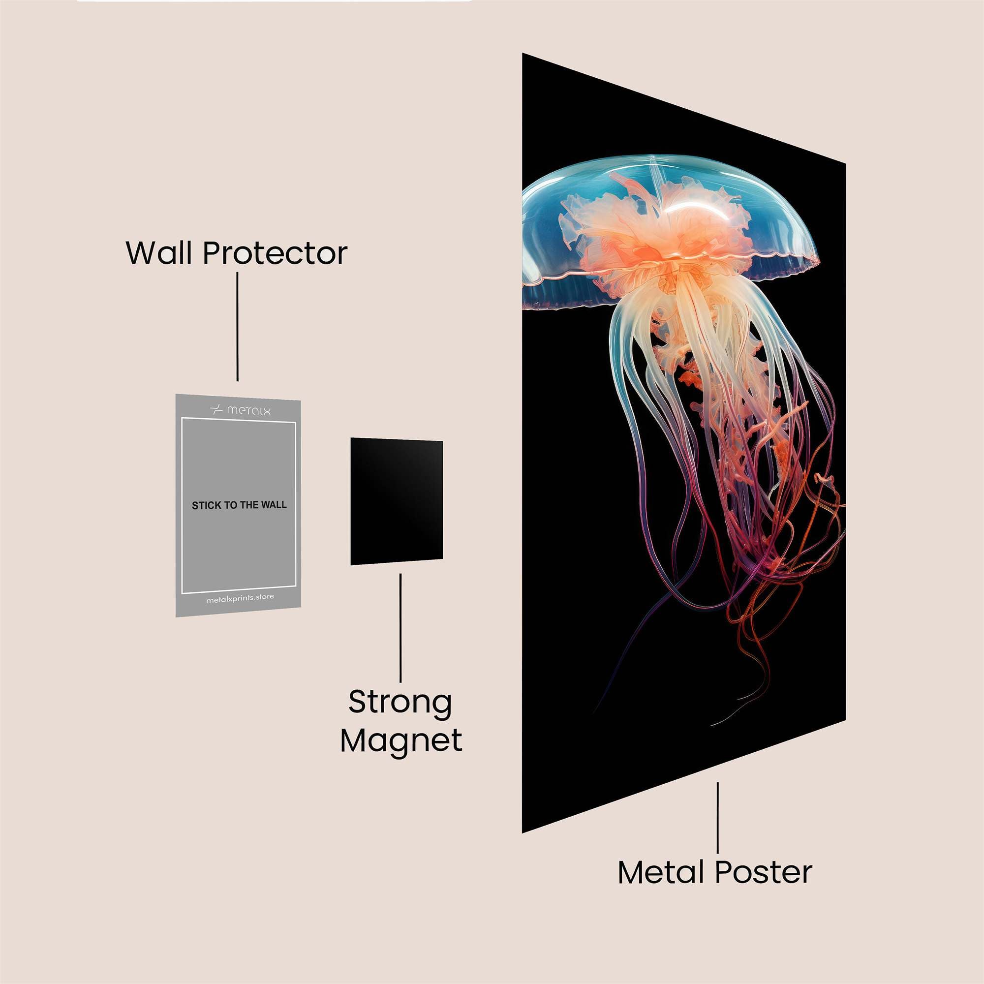 Jelly Elegance Safe Wall Magnetic / M