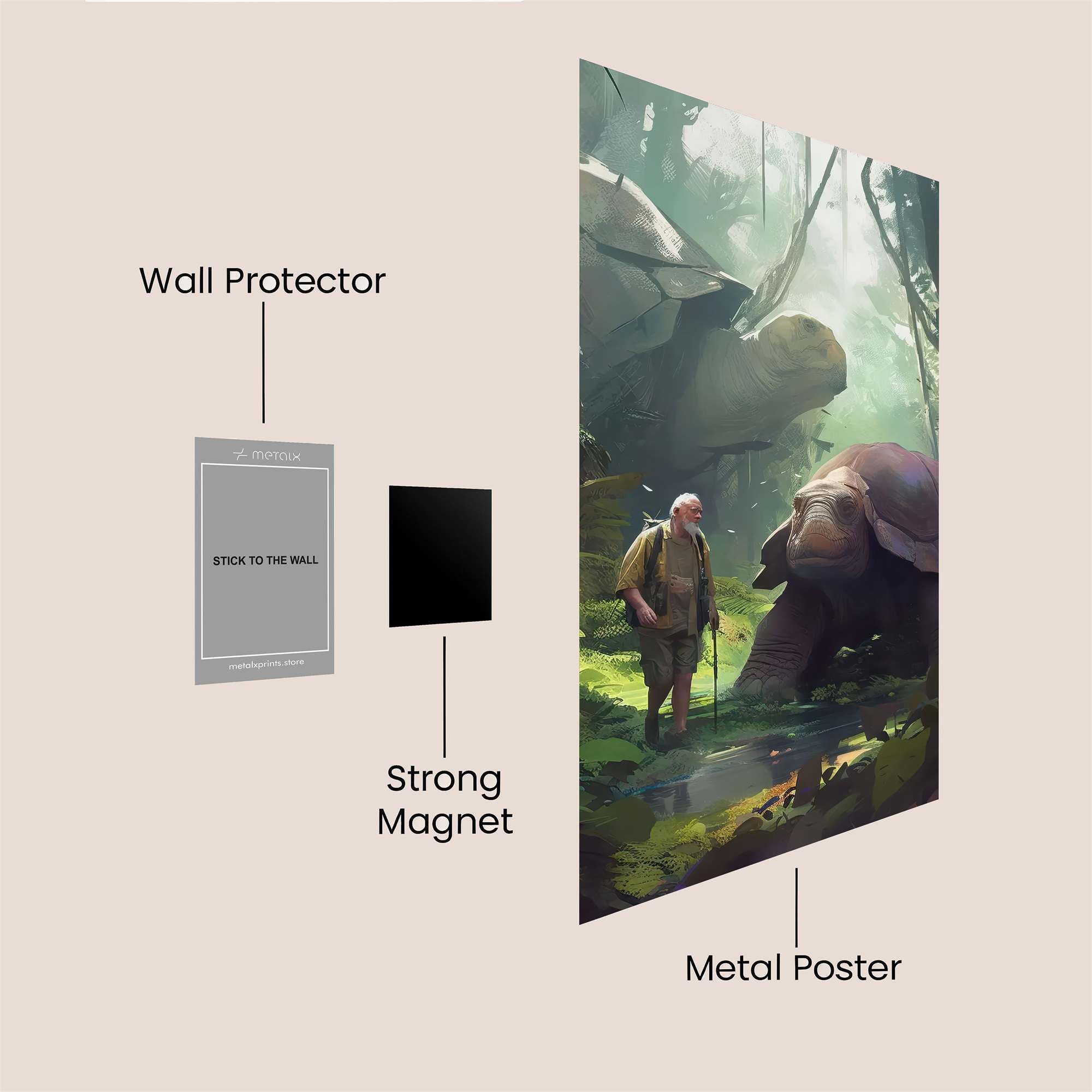 Turtle Tranquil Safe Wall Magnetic / M