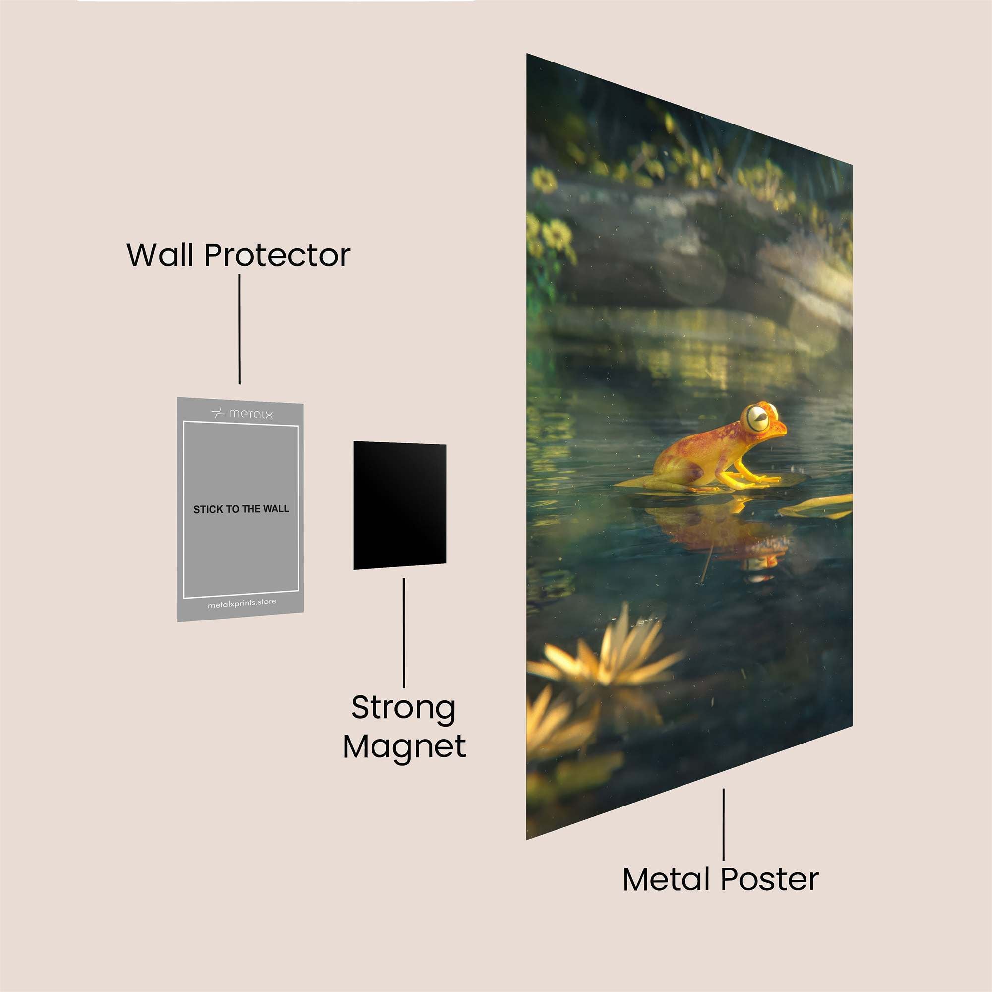 Frog Serenity Safe Wall Magnetic / M