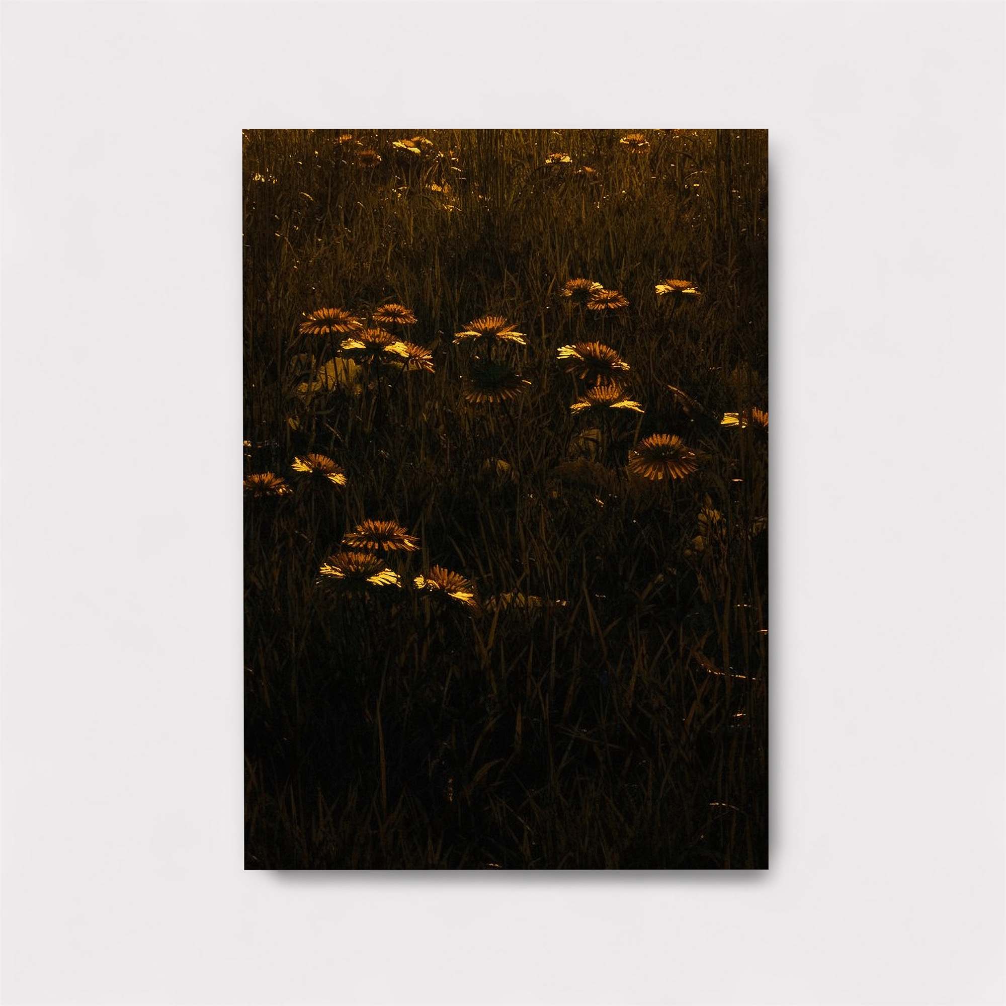 Golden Serenity Safe Wall Magnetic / M