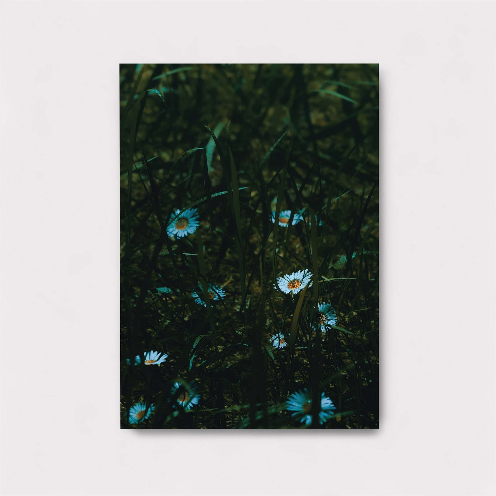 Daisy Dream Safe Wall Magnetic / M