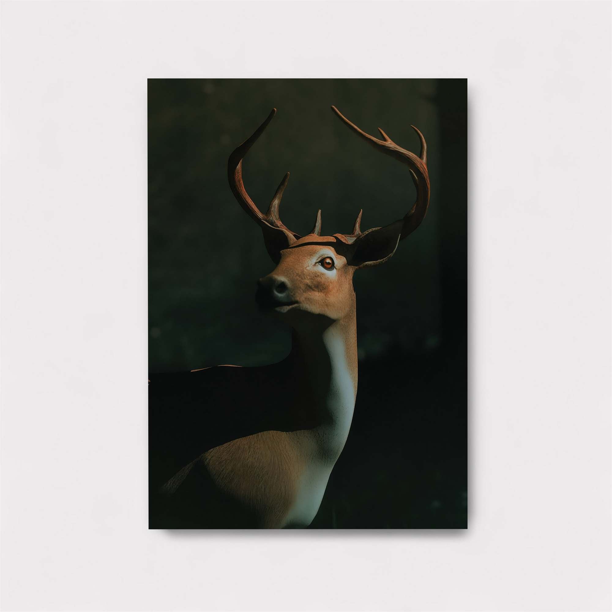 Deer Enigma Safe Wall Magnetic / M