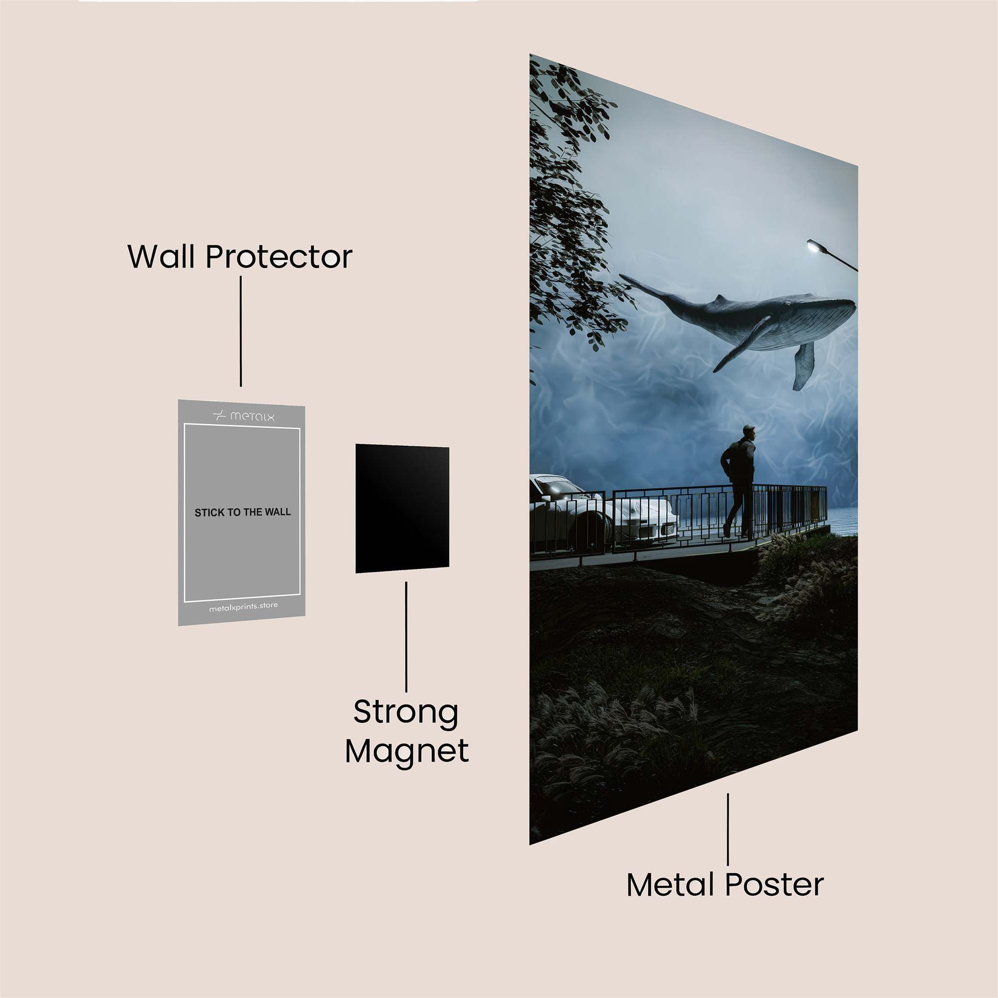 Whale Wonder Safe Wall Magnetic / M