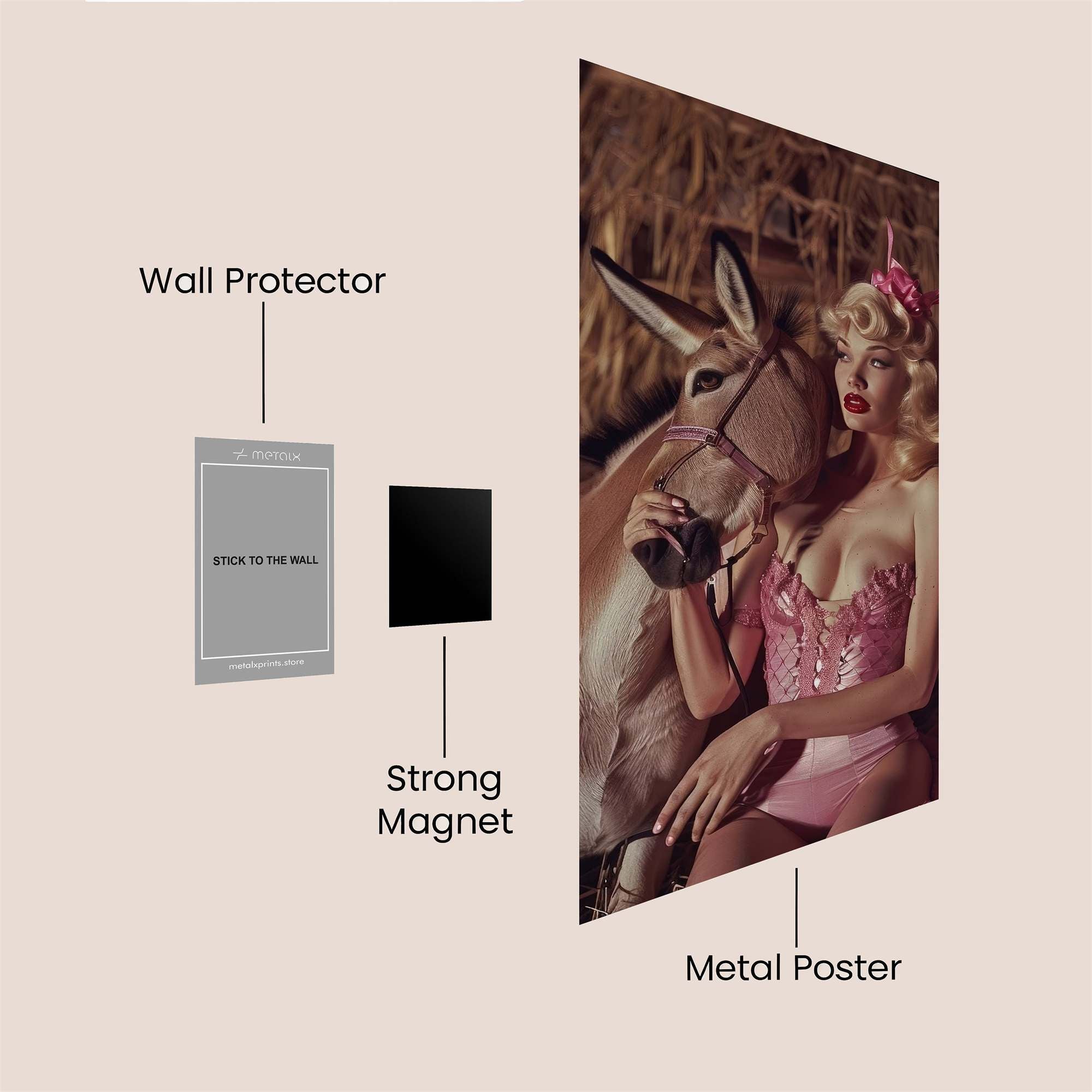 Donkey Delight Safe Wall Magnetic / M